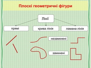 Плоскі геометричні фігури
Лінії
прямі крива лінія ламана лінія
незамкнені
замкнені
 