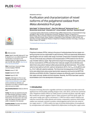 RESEARCH ARTICLE
Purification and characterization of novel
isoforms of the polyphenol oxidase from
Malus domestica fruit pulp
Naila Sajjad1
, M. Sheeraz Ahmad1
*, Raja Tahir Mahmood2
, Muhammad TariqID
2
,
Muhammad Javaid Asad1
, Shamaila Irum3
, Anisa Andleeb2
, Abid Riaz4
, Dawood Ahmed5
1 University Institute of Biochemistry and Biotechnology (UIBB) & National Center of Industrial Biotechnology
(NCffigIB) Pir Mehr Ali Shah, Arid Agriculture University, Rawalpindi, Pakistan, 2 Department of
Biotechnology, Mirpur University of Science and Technology (MUST), Mirpur AJK, Pakistan, 3 Department of
Zoology, University of Gujrat, Gujrat, Pakistan, 4 Department of Plant Pathology, Pir Mehr Ali Shah, Arid
Agriculture University, Rawalpindi, Pakistan, 5 Department of Medical Laboratory Technology, University of
Haripur, Haripur, KP, Pakistan
* dr.sheeraz@uaar.edu.pk, tariq.awan@must.edu.pk
Abstract
Polyphenol oxidases (PPOs), belong to the group of oxidoreductases that are copper con-
taining enzymes and are responsible for plant browning. PPOs are extensively distributed in
plant kingdom and can oxidize wide range of aromatic compounds of industrial importance.
The aim of this study was purification and characterization of PPO isoforms from the fruit
pulp of Golden delicious apple. High performance liquid chromatography was used to purify
the two novel isoforms of PPO and further their molecular weights (45 and 28 kDa) were
determined using sodium dodecyl sulfate polyacrylamide gel electrophoresis. The purified
isoforms have optimum pH (6.5), optimum temperature (40˚C), the Vmax (4.45 μM/min) and
Km (74.21 mM) with catechol substrate. The N-terminal microsequences of both PPO iso-
forms were determined using a pulse liquid protein sequencer and found to be AKITFHG
(28 kDa) and APGGG (45 kDa). Polyphenol oxidases are efficiently used in the pharmaceu-
tical, paper and pulp, textiles and food industries. Recently, the PPOs have been used for
bioremediation and in the development of biosensors.
1. Introduction
Enzymatic browning observed in vegetables and fruits are natural processes that result in the
significant loss of food quality including change in taste, color, flavor, and decrease nutritional
value. Polyphenol oxidases (PPOs) are widely present in animals and plants, especially vegeta-
bles (mushroom, potatoes, eggplant, lettuces, melon and guava) and fruits (grape, apple, avo-
cado, peach, mango, pear, apricot, and banana) [1]. PPOs are said to catalyze oxidation and
reduction reactions that oxidize phenols and aromatic compounds to quinones which further
catalyze non-enzymatic reactions to produce colored pigments and its active site consist of
two copper atoms [2, 3]. PPOs catalyze two types of activities hydroxylation of monophenols
by monophenolases and oxidation of diphenols by diphenolases involving their copper atoms.
PLOS ONE
PLOS ONE | https://doi.org/10.1371/journal.pone.0276041 August 25, 2023 1 / 16
a1111111111
a1111111111
a1111111111
a1111111111
a1111111111
OPEN ACCESS
Citation: Sajjad N, Ahmad MS, Mahmood RT, Tariq
M, Asad MJ, Irum S, et al. (2023) Purification and
characterization of novel isoforms of the
polyphenol oxidase from Malus domestica fruit
pulp. PLoS ONE 18(8): e0276041. https://doi.org/
10.1371/journal.pone.0276041
Editor: Farrukh Azeem, Government College
University Faisalabad, PAKISTAN
Received: January 27, 2022
Accepted: September 28, 2022
Published: August 25, 2023
Copyright: © 2023 Sajjad et al. This is an open
access article distributed under the terms of the
Creative Commons Attribution License, which
permits unrestricted use, distribution, and
reproduction in any medium, provided the original
author and source are credited.
Data Availability Statement: All data are within the
paper.
Funding: This study was supported by the grants
from Higher Education Commission of Pakistan
through project (HEC NRPU-10406) funded to Dr.
Sheeraz Ahmad. The funders had no role in study
design, data collection and analysis, decision to
publish, or preparation of the manuscript.
Competing interests: The authors have declared
that no competing interests exist.
 