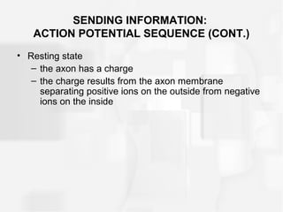 SENDING INFORMATION:
ACTION POTENTIAL SEQUENCE (CONT.)
• Resting state
– the axon has a charge
– the charge results from the axon membrane
separating positive ions on the outside from negative
ions on the inside
 