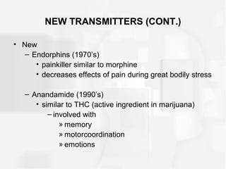 NEW TRANSMITTERS (CONT.)
• New
– Endorphins (1970’s)
• painkiller similar to morphine
• decreases effects of pain during great bodily stress
– Anandamide (1990’s)
• similar to THC (active ingredient in marijuana)
– involved with
» memory
» motorcoordination
» emotions
 