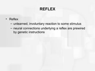 REFLEX
• Reflex
– unlearned, involuntary reaction to some stimulus
– neural connections underlying a reflex are prewired
by genetic instructions
 