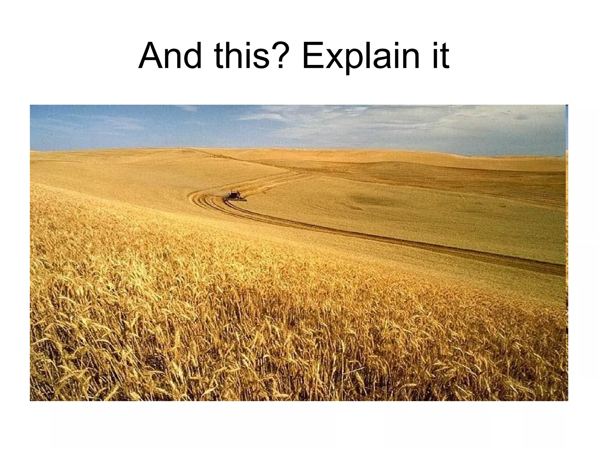 And this? Explain it  