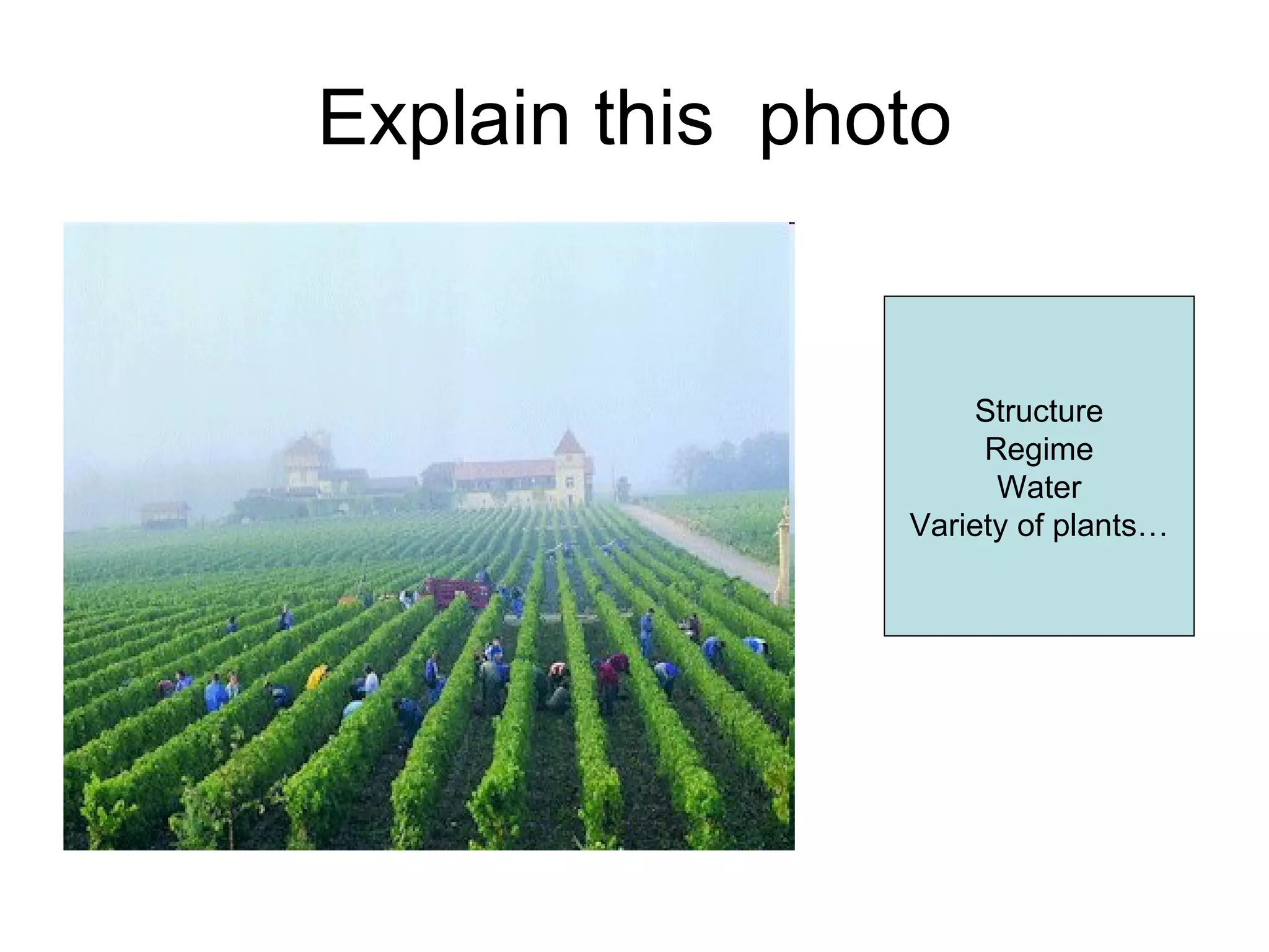 Explain this  photo Structure Regime Water Variety of plants… 