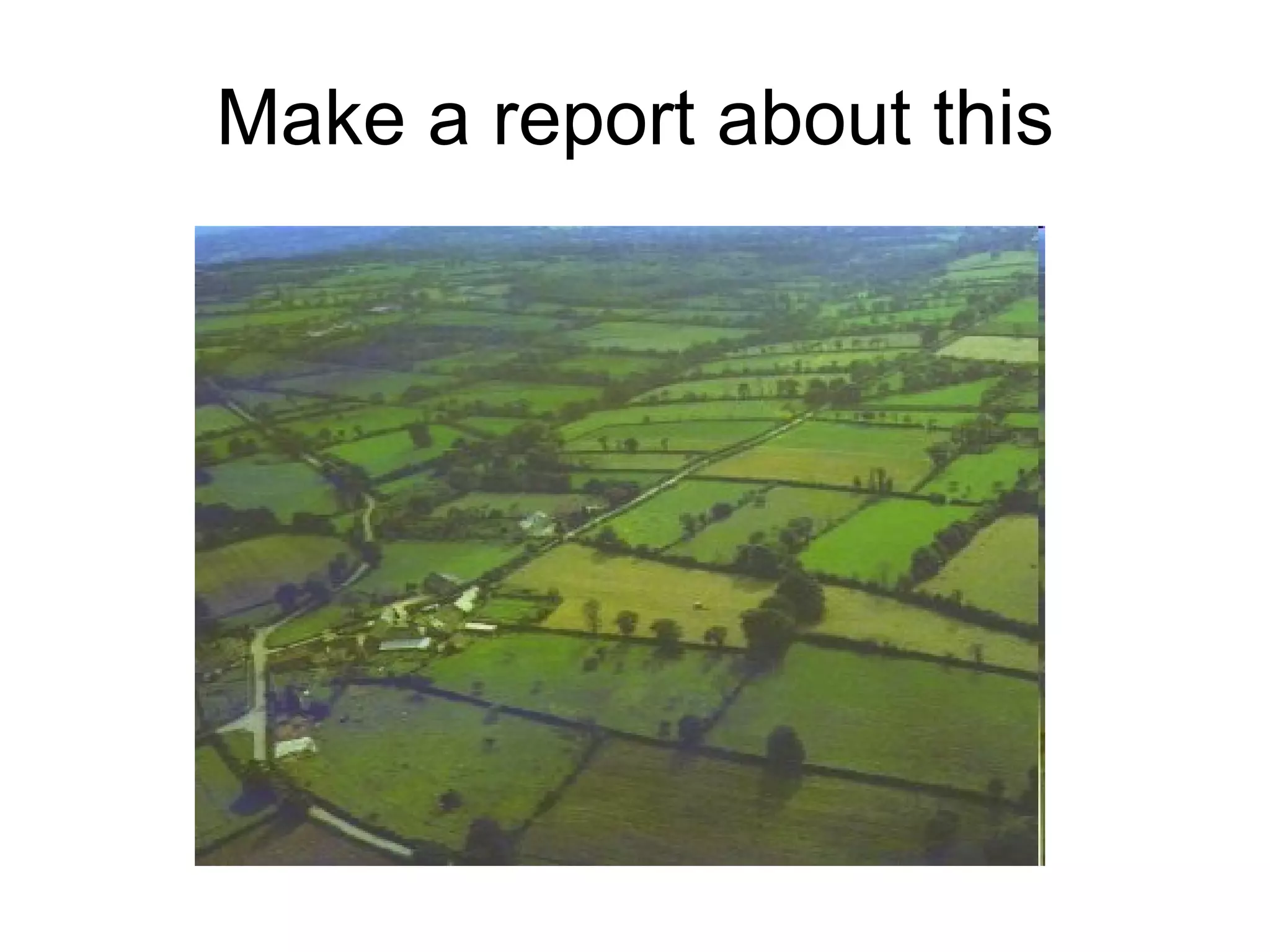 Make a report about this 