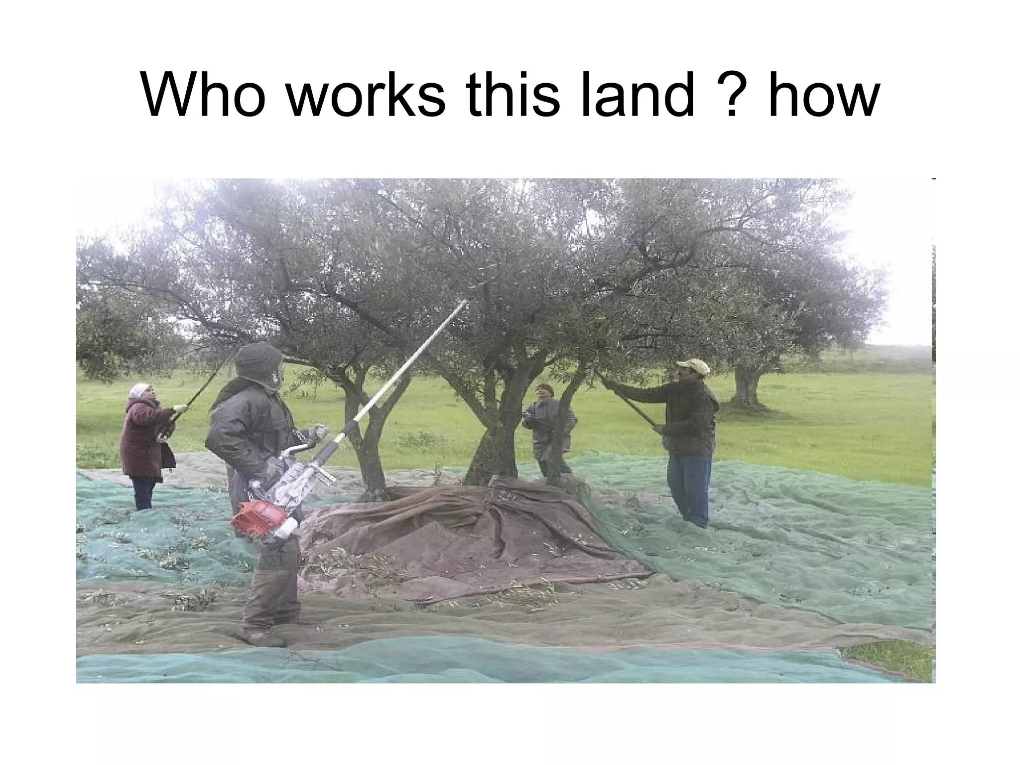 Who works this land ? how 