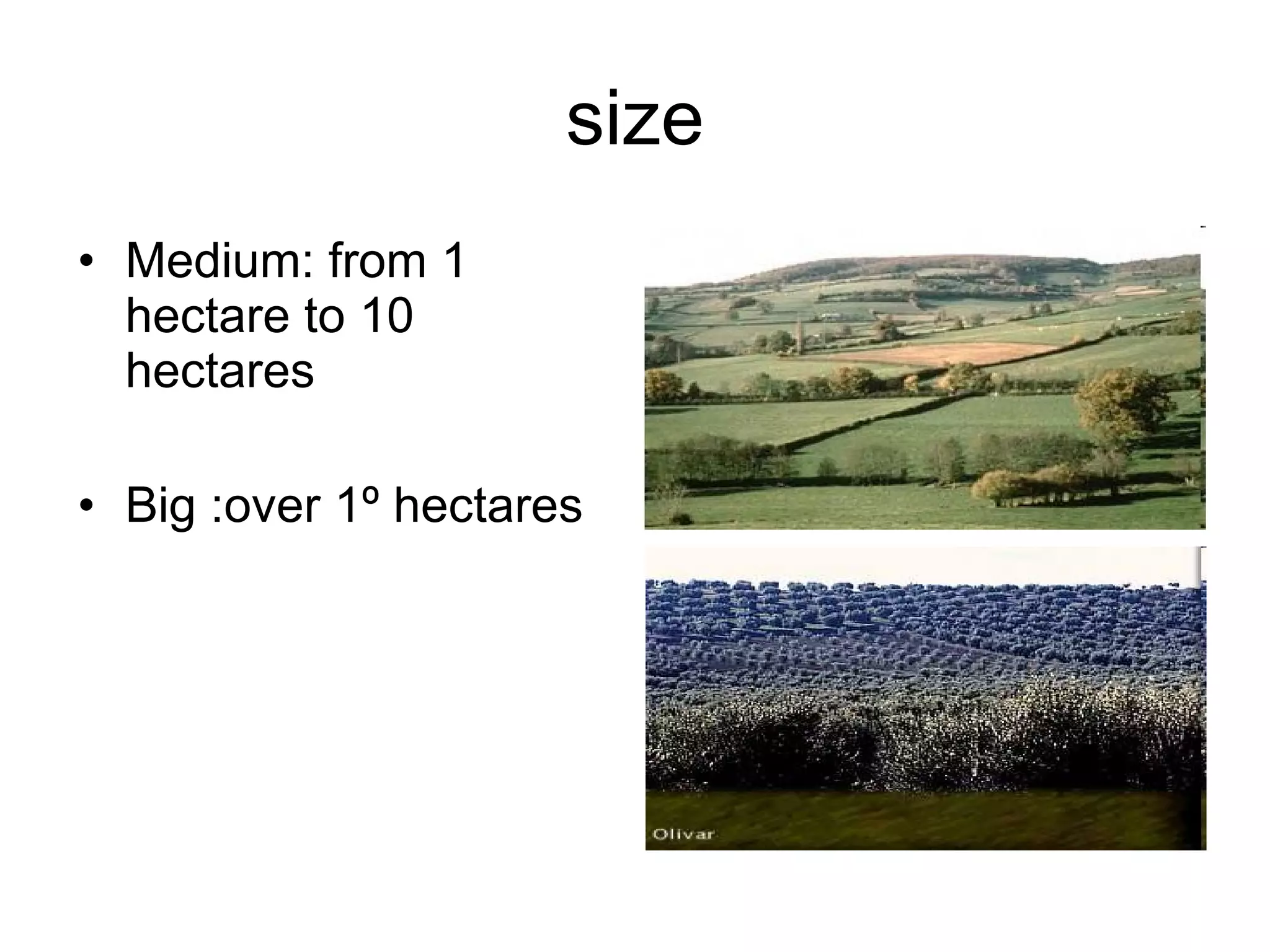 size Medium: from 1 hectare to 10 hectares Big :over 1º hectares 