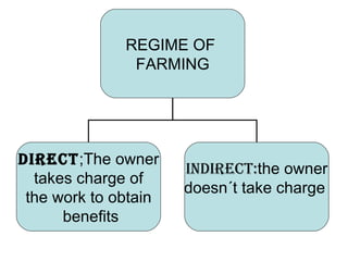 REGIME OF  FARMING DIRECT ;The owner takes charge of  the work to obtain benefits Indirect: the owner doesn´t take charge  