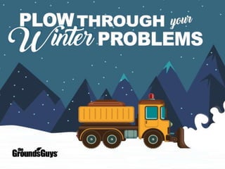 Plow Through Your Winter Problems-CA
