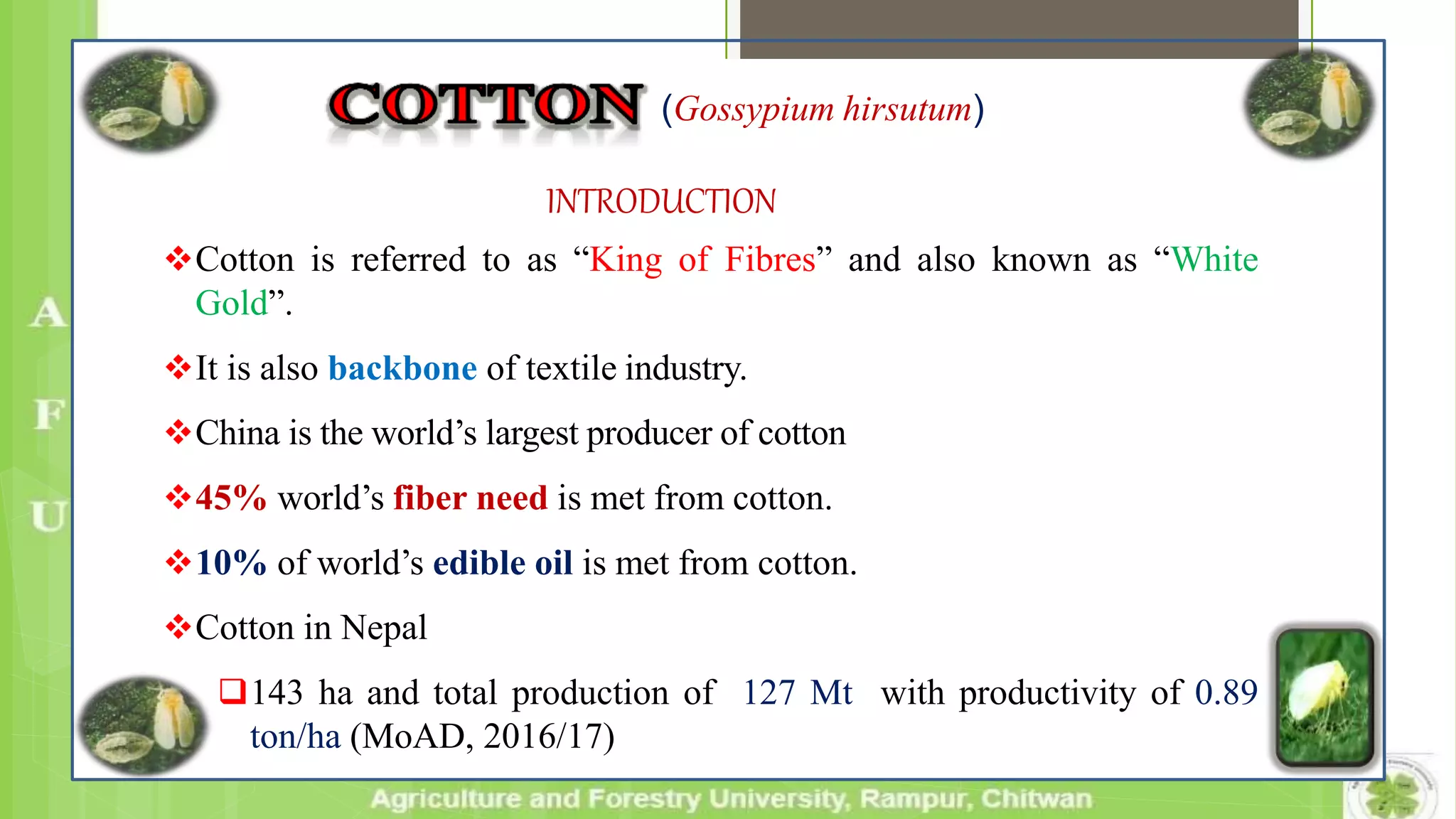 (Gossypium hirsutum)
INTRODUCTION
Cotton is referred to as “King of Fibres” and also known as “White
Gold”.
It is also backbone of textile industry.
China is the world’s largest producer of cotton
45% world’s fiber need is met from cotton.
10% of world’s edible oil is met from cotton.
Cotton in Nepal
143 ha and total production of 127 Mt with productivity of 0.89
ton/ha (MoAD, 2016/17)
 