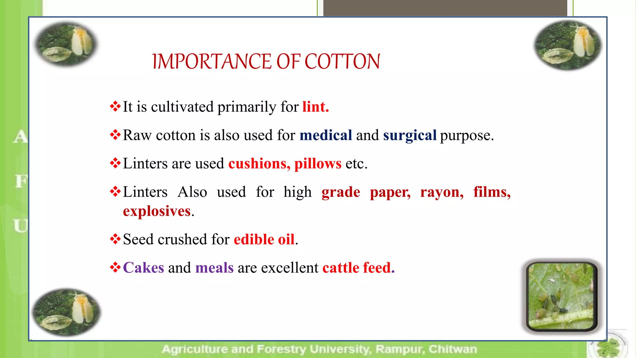 IMPORTANCE OFCOTTON
It is cultivated primarily for lint.
Raw cotton is also used for medical and surgical purpose.
Linters are used cushions, pillows etc.
Linters Also used for high grade paper, rayon, films,
explosives.
Seed crushed for edible oil.
Cakes and meals are excellent cattle feed.
 