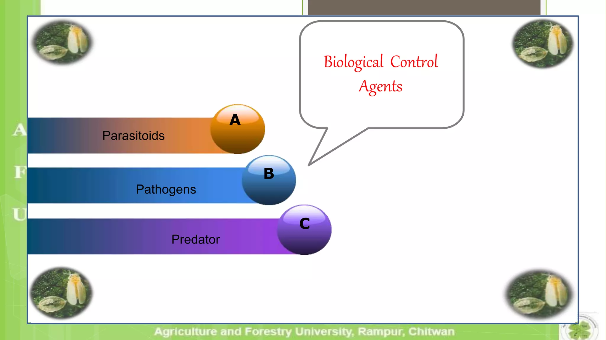 Biological Control
Agents
A
Parasitoids
B
Pathogens
C
Predator
 