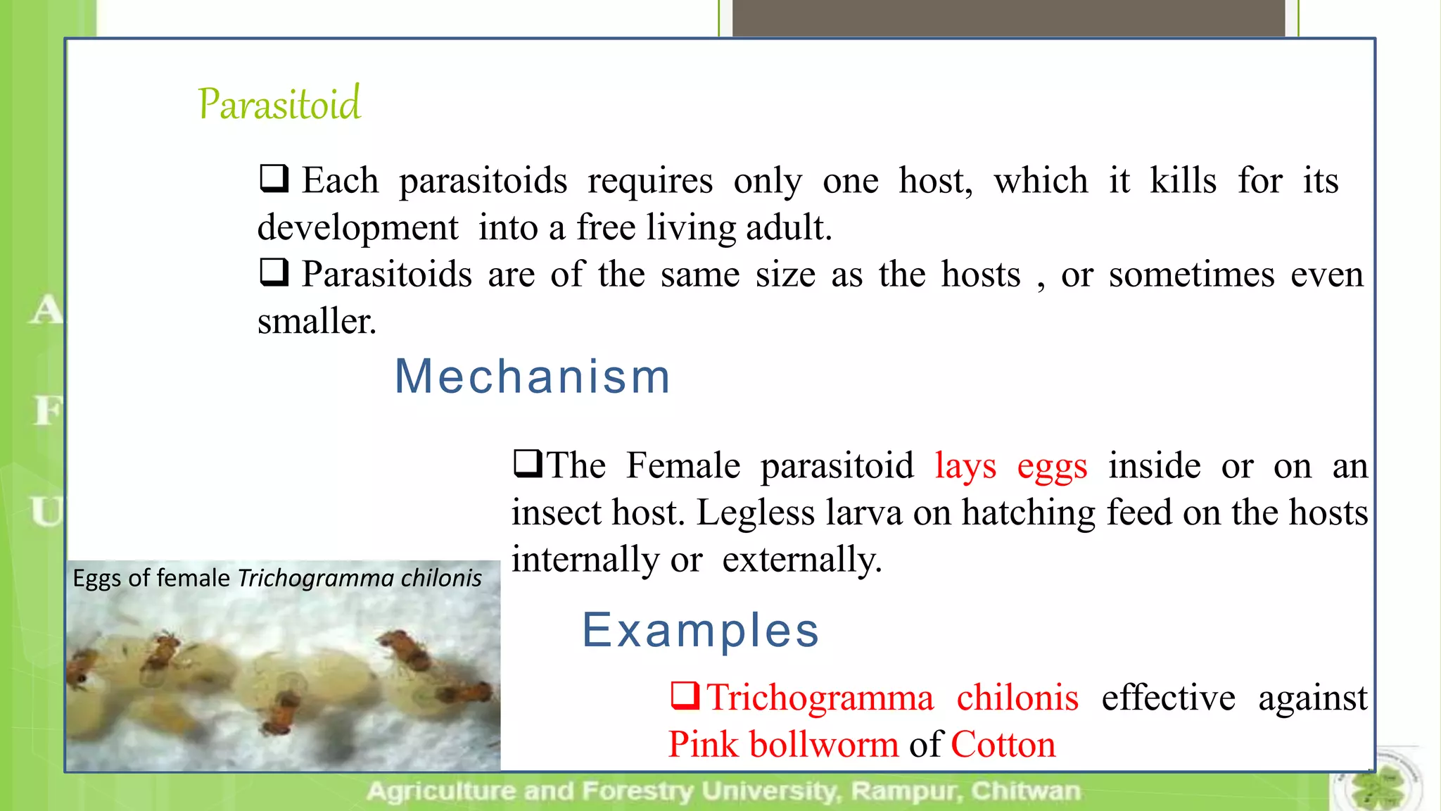Parasitoid
 Each parasitoids requires only one host, which it kills for its
development into a free living adult.
 Parasitoids are of the same size as the hosts , or sometimes even
smaller.
Mechanism
Examples
Trichogramma chilonis effective against
Pink bollworm of Cotton
Eggs of female Trichogramma chilonis
The Female parasitoid lays eggs inside or on an
insect host. Legless larva on hatching feed on the hosts
internally or externally.
 