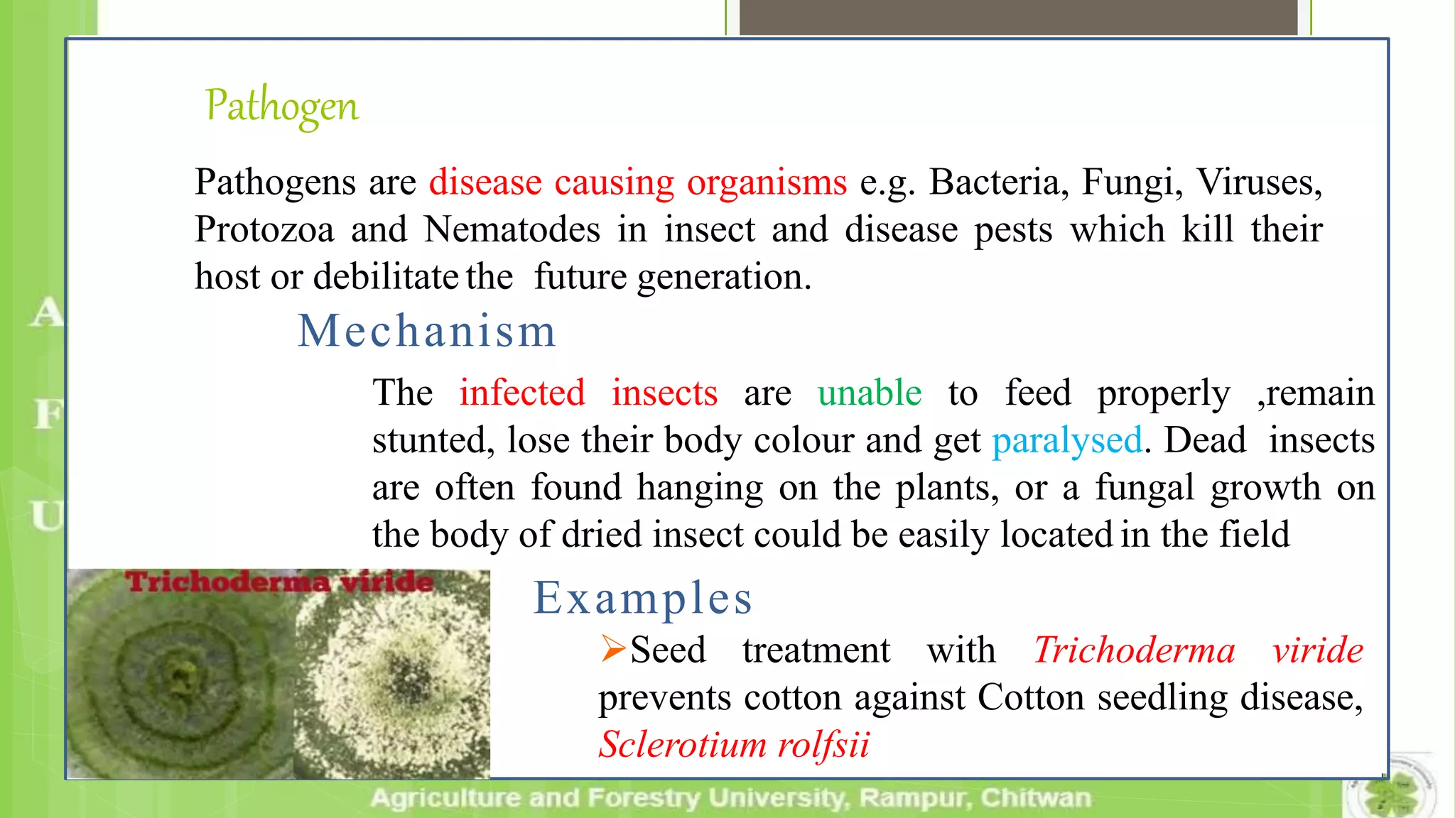 Pathogen
Pathogens are disease causing organisms e.g. Bacteria, Fungi, Viruses,
Protozoa and Nematodes in insect and disease pests which kill their
host or debilitate the future generation.
Mechanism
Examples
Seed treatment with Trichoderma viride
prevents cotton against Cotton seedling disease,
Sclerotium rolfsii
The infected insects are unable to feed properly ,remain
stunted, lose their body colour and get paralysed. Dead insects
are often found hanging on the plants, or a fungal growth on
the body of dried insect could be easily located in the field
 