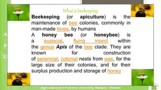 Seasonal management of honey bee and pollinators deficit in onion | PPTX