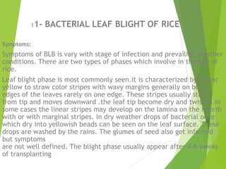 Disease of field crops | PPTX