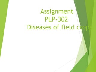 Assignment
PLP-302
Diseases of field crops
 