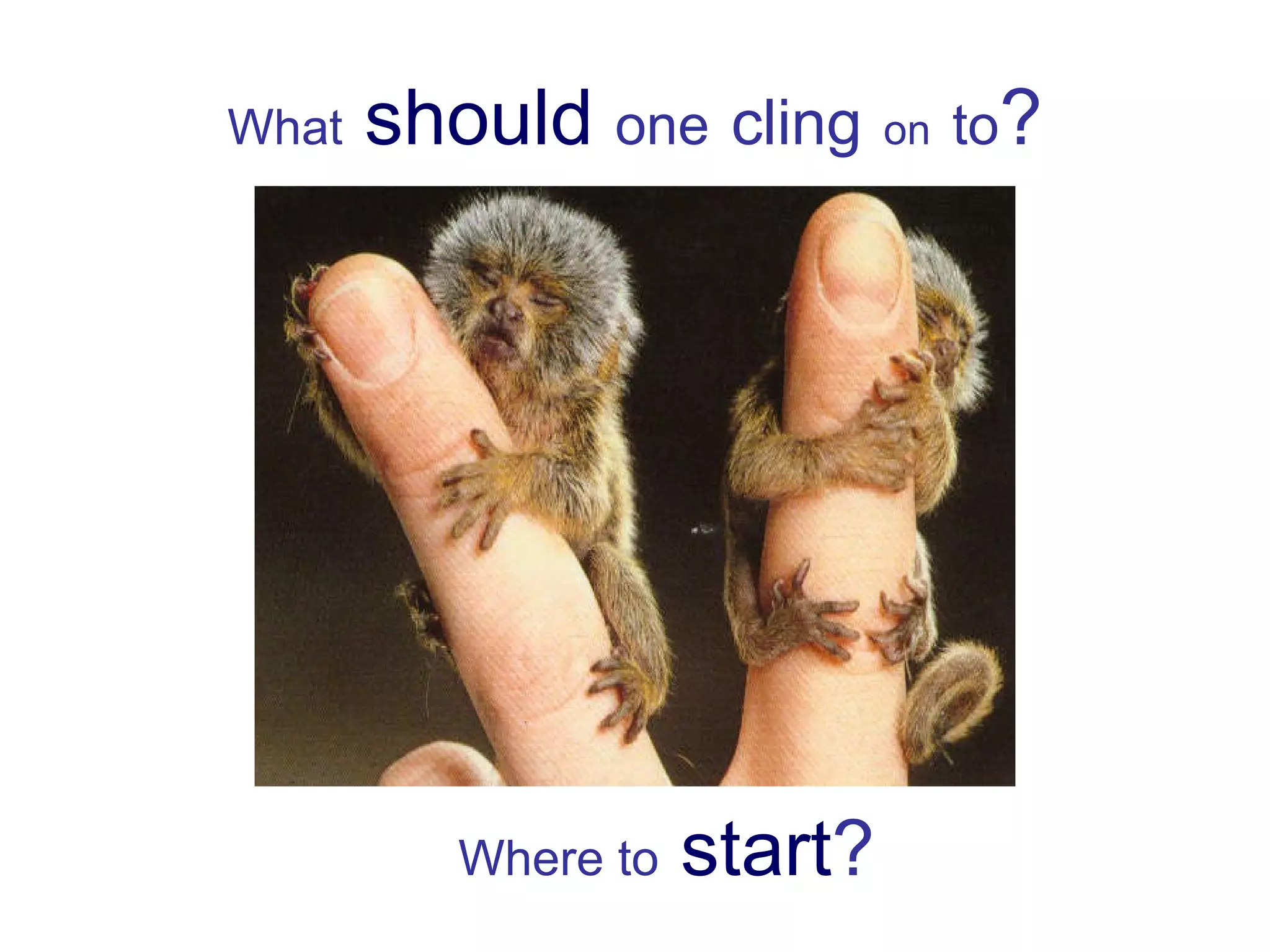 What   should   one   cling   on   to ? Where to   start ? 