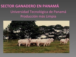 SECTOR GANADERO EN PANAMÁ Universidad Tecnológica de Panamá Producción más Limpia 