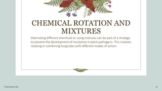 PLPT 6315.pptx plant diseases management | PPT