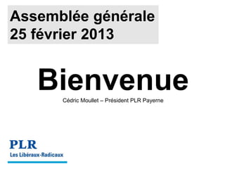Assemblée générale
25 février 2013


   Bienvenue
      Cédric Moullet – Président PLR Payerne
 