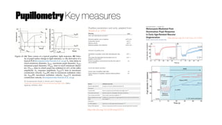 Pupillometer Ref Ranges Pupillometry for Clinical Diagnosis | PDF