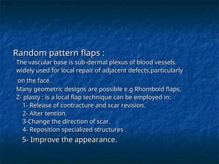 Random Pattern Flasps pl s2 (1).ppt plastix surgery important causes | PPT
