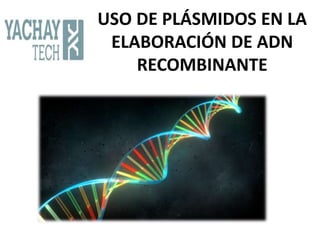 USO DE PLÁSMIDOS EN LA
ELABORACIÓN DE ADN
RECOMBINANTE
 