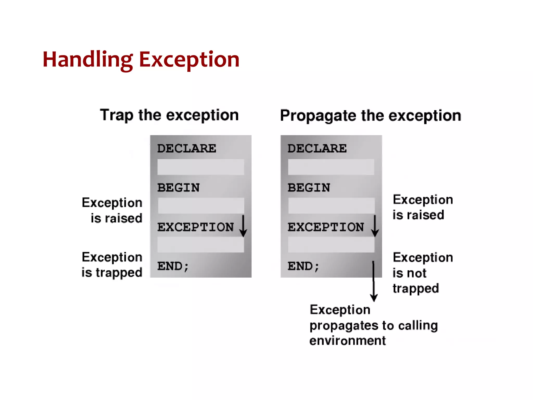 Handling Exception
 