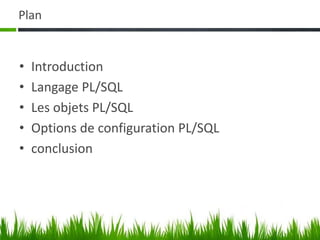 Plan
• Introduction
• Langage PL/SQL
• Les objets PL/SQL
• Options de configuration PL/SQL
• conclusion
 