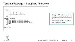 PL/SQL Testing - Setup and Teardown of Database Tests 