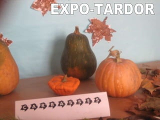 EXPO-TARDOR 