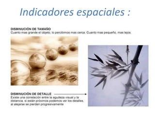 Indicadores espaciales :
 