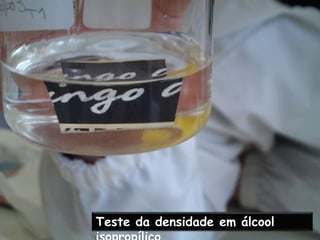 No fim faz o download do nosso questionário interactivo e tenta tu fazer a experiência!!*Quando procedemos ao teste de densidade em água com o PS, as amostras que não eram expandidas afundaram, provavelmente por serem mais densas do que as amostras de PS expandido. Mais tarde porém, comprovámos pelo teste da acetona que estas mesmas amostras dissolveram-se nela, pelo que só poderia ser, de facto poliestireno.** A chama que deveríamos observar deveria ser Verde. O facto de observarmos antes uma chama amarela  poder-se-á dever ao facto de a presença de aditivos poder alterar a cor da chama. A presença de muita iluminação no laboratório pode também ter dificultado a observação da cor da chama.***(já que os resultados dos testes não encaixam num dos outros 6 tipos). O resultado também pode ser devido a ser uma mistura de algum plástico com outras substâncias.