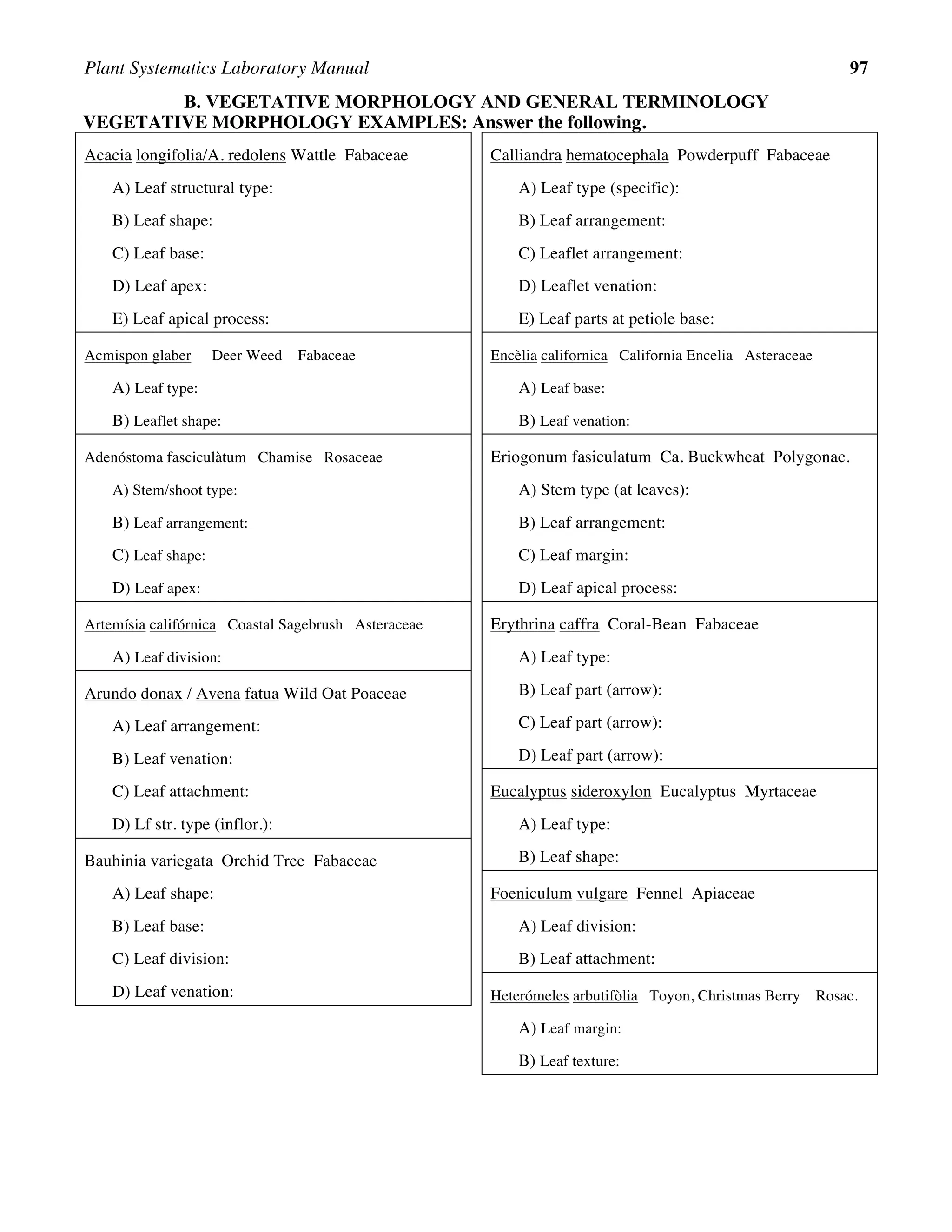 Plant Systematics Laboratory Manual 97
B. VEGETATIVE MORPHOLOGY AND GENERAL TERMINOLOGY
VEGETATIVE MORPHOLOGY EXAMPLES: Answer the following.
Acacia longifolia/A. redolens Wattle Fabaceae
A) Leaf structural type:
B) Leaf shape:
C) Leaf base:
D) Leaf apex:
E) Leaf apical process:
Acmispon glaber Deer Weed Fabaceae
A) Leaf type:
B) Leaflet shape:
Adenóstoma fasciculàtum Chamise Rosaceae
A) Stem/shoot type:
B) Leaf arrangement:
C) Leaf shape:
D) Leaf apex:
Artemísia califórnica Coastal Sagebrush Asteraceae
A) Leaf division:
Arundo donax / Avena fatua Wild Oat Poaceae
A) Leaf arrangement:
B) Leaf venation:
C) Leaf attachment:
D) Lf str. type (inflor.):
Bauhinia variegata Orchid Tree Fabaceae
A) Leaf shape:
B) Leaf base:
C) Leaf division:
D) Leaf venation:
Calliandra hematocephala Powderpuff Fabaceae
A) Leaf type (specific):
B) Leaf arrangement:
C) Leaflet arrangement:
D) Leaflet venation:
E) Leaf parts at petiole base:
Encèlia californica California Encelia Asteraceae
A) Leaf base:
B) Leaf venation:
Eriogonum fasiculatum Ca. Buckwheat Polygonac.
A) Stem type (at leaves):
B) Leaf arrangement:
C) Leaf margin:
D) Leaf apical process:
Erythrina caffra Coral-Bean Fabaceae
A) Leaf type:
B) Leaf part (arrow):
C) Leaf part (arrow):
D) Leaf part (arrow):
Eucalyptus sideroxylon Eucalyptus Myrtaceae
A) Leaf type:
B) Leaf shape:
Foeniculum vulgare Fennel Apiaceae
A) Leaf division:
B) Leaf attachment:
Heterómeles arbutifòlia Toyon, Christmas Berry Rosac.
A) Leaf margin:
B) Leaf texture:
 