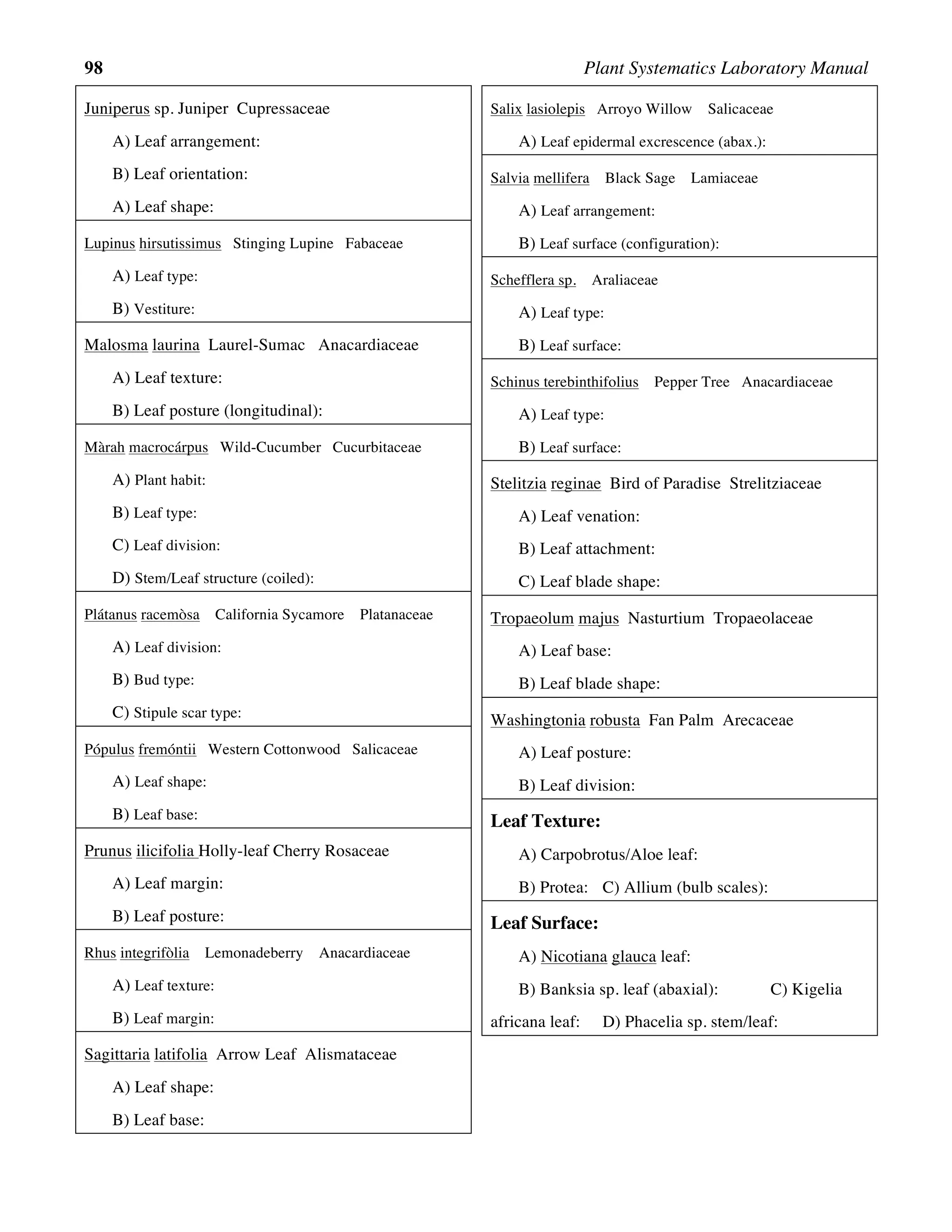 98 Plant Systematics Laboratory Manual
Juniperus sp. Juniper Cupressaceae
A) Leaf arrangement:
B) Leaf orientation:
A) Leaf shape:
Lupinus hirsutissimus Stinging Lupine Fabaceae
A) Leaf type:
B) Vestiture:
Malosma laurina Laurel-Sumac Anacardiaceae
A) Leaf texture:
B) Leaf posture (longitudinal):
Màrah macrocárpus Wild-Cucumber Cucurbitaceae
A) Plant habit:
B) Leaf type:
C) Leaf division:
D) Stem/Leaf structure (coiled):
Plátanus racemòsa California Sycamore Platanaceae
A) Leaf division:
B) Bud type:
C) Stipule scar type:
Pópulus fremóntii Western Cottonwood Salicaceae
A) Leaf shape:
B) Leaf base:
Prunus ilicifolia Holly-leaf Cherry Rosaceae
A) Leaf margin:
B) Leaf posture:
Rhus integrifòlia Lemonadeberry Anacardiaceae
A) Leaf texture:
B) Leaf margin:
Sagittaria latifolia Arrow Leaf Alismataceae
A) Leaf shape:
B) Leaf base:
Salix lasiolepis Arroyo Willow Salicaceae
A) Leaf epidermal excrescence (abax.):
Salvia mellifera Black Sage Lamiaceae
A) Leaf arrangement:
B) Leaf surface (configuration):
Schefflera sp. Araliaceae
A) Leaf type:
B) Leaf surface:
Schinus terebinthifolius Pepper Tree Anacardiaceae
A) Leaf type:
B) Leaf surface:
Stelitzia reginae Bird of Paradise Strelitziaceae
A) Leaf venation:
B) Leaf attachment:
C) Leaf blade shape:
Tropaeolum majus Nasturtium Tropaeolaceae
A) Leaf base:
B) Leaf blade shape:
Washingtonia robusta Fan Palm Arecaceae
A) Leaf posture:
B) Leaf division:
Leaf Texture:
A) Carpobrotus/Aloe leaf:
B) Protea: C) Allium (bulb scales):
Leaf Surface:
A) Nicotiana glauca leaf:
B) Banksia sp. leaf (abaxial): C) Kigelia
africana leaf: D) Phacelia sp. stem/leaf:
 