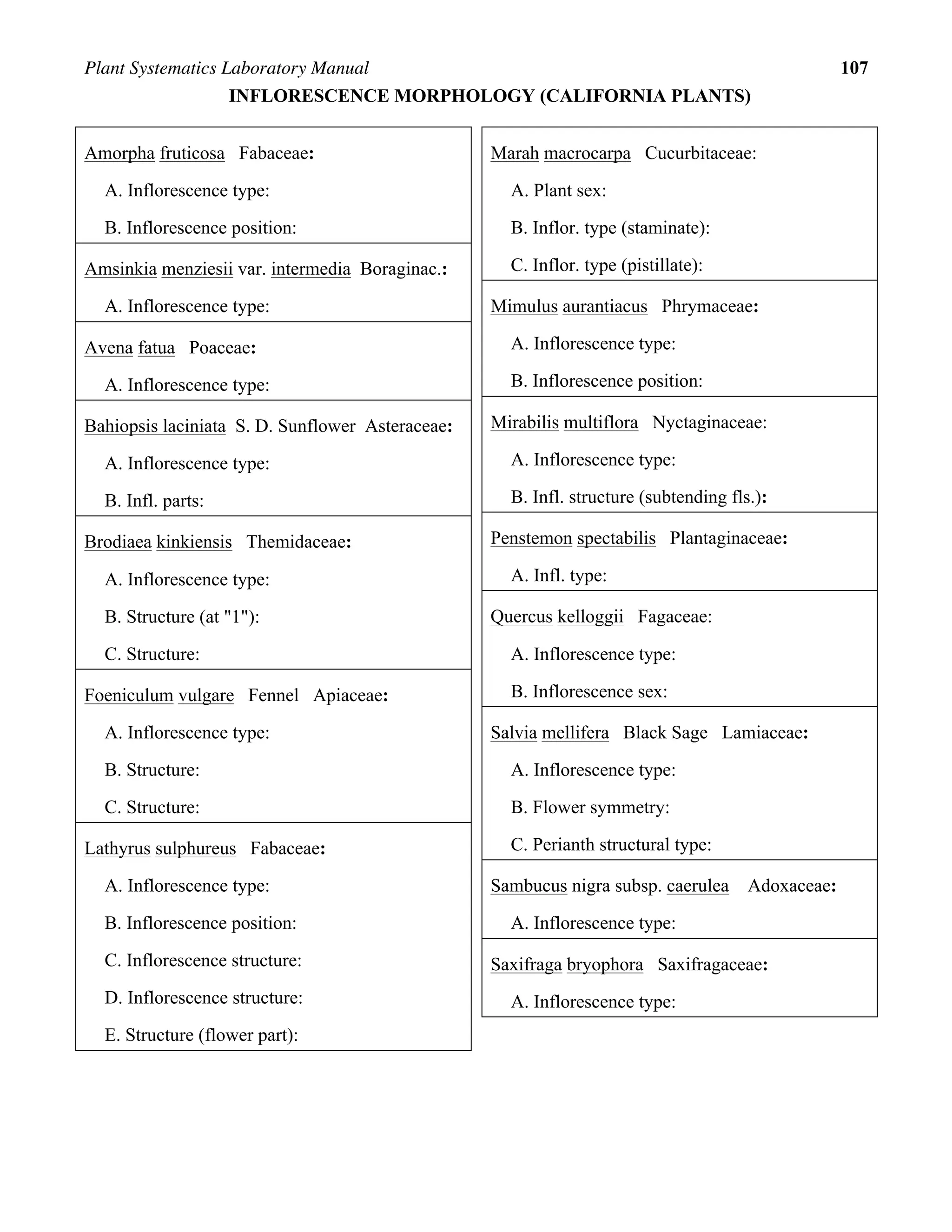 Plant Systematics Laboratory Manual 107
INFLORESCENCE MORPHOLOGY (CALIFORNIA PLANTS)
Amorpha fruticosa Fabaceae:
A. Inflorescence type:
B. Inflorescence position:
Amsinkia menziesii var. intermedia Boraginac.:
A. Inflorescence type:
Avena fatua Poaceae:
A. Inflorescence type:
Bahiopsis laciniata S. D. Sunflower Asteraceae:
A. Inflorescence type:
B. Infl. parts:
Brodiaea kinkiensis Themidaceae:
A. Inflorescence type:
B. Structure (at "1"):
C. Structure:
Foeniculum vulgare Fennel Apiaceae:
A. Inflorescence type:
B. Structure:
C. Structure:
Lathyrus sulphureus Fabaceae:
A. Inflorescence type:
B. Inflorescence position:
C. Inflorescence structure:
D. Inflorescence structure:
E. Structure (flower part):
Marah macrocarpa Cucurbitaceae:
A. Plant sex:
B. Inflor. type (staminate):
C. Inflor. type (pistillate):
Mimulus aurantiacus Phrymaceae:
A. Inflorescence type:
B. Inflorescence position:
Mirabilis multiflora Nyctaginaceae:
A. Inflorescence type:
B. Infl. structure (subtending fls.):
Penstemon spectabilis Plantaginaceae:
A. Infl. type:
Quercus kelloggii Fagaceae:
A. Inflorescence type:
B. Inflorescence sex:
Salvia mellifera Black Sage Lamiaceae:
A. Inflorescence type:
B. Flower symmetry:
C. Perianth structural type:
Sambucus nigra subsp. caerulea Adoxaceae:
A. Inflorescence type:
Saxifraga bryophora Saxifragaceae:
A. Inflorescence type:
 