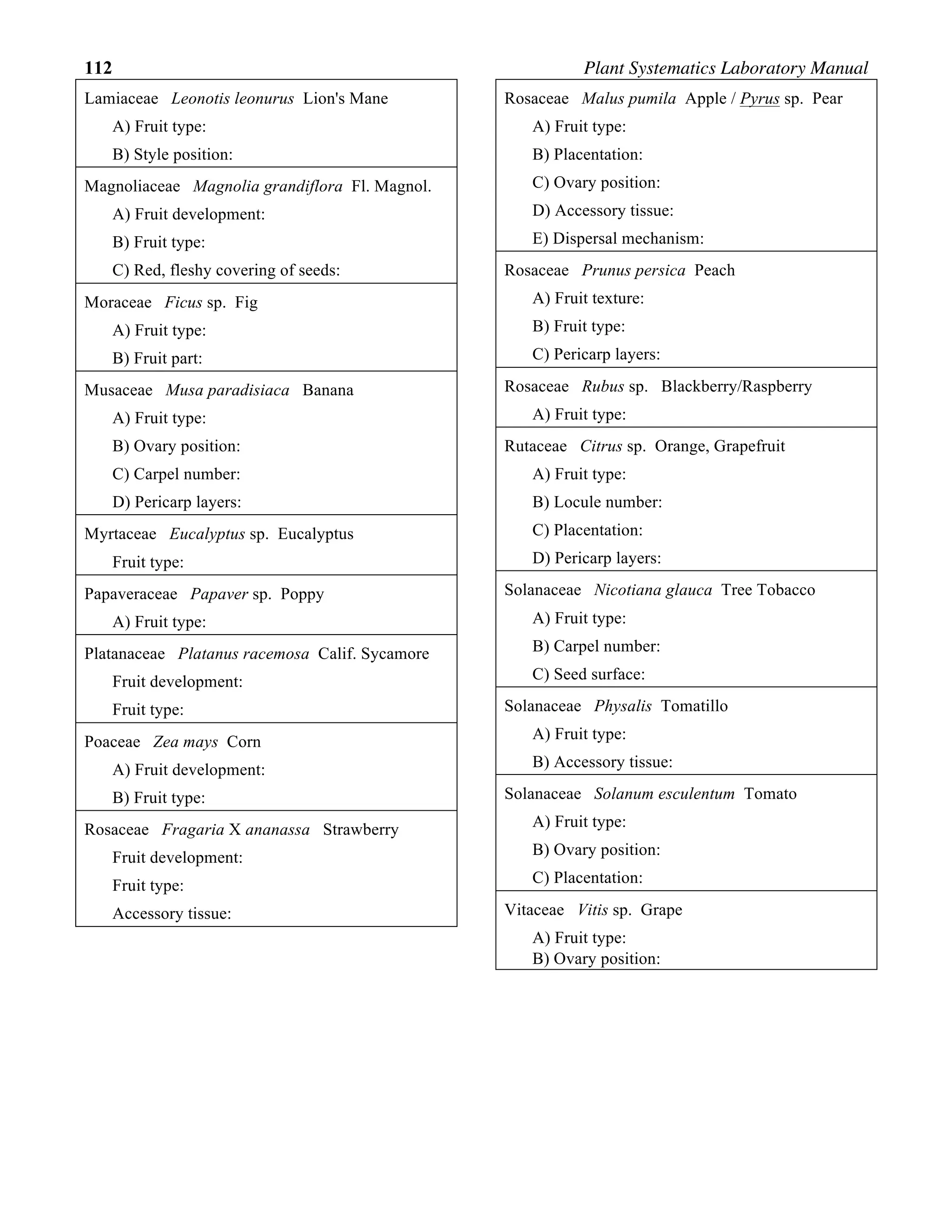 112 Plant Systematics Laboratory Manual
Lamiaceae Leonotis leonurus Lion's Mane
A) Fruit type:
B) Style position:
Magnoliaceae Magnolia grandiflora Fl. Magnol.
A) Fruit development:
B) Fruit type:
C) Red, fleshy covering of seeds:
Moraceae Ficus sp. Fig
A) Fruit type:
B) Fruit part:
Musaceae Musa paradisiaca Banana
A) Fruit type:
B) Ovary position:
C) Carpel number:
D) Pericarp layers:
Myrtaceae Eucalyptus sp. Eucalyptus
Fruit type:
Papaveraceae Papaver sp. Poppy
A) Fruit type:
Platanaceae Platanus racemosa Calif. Sycamore
Fruit development:
Fruit type:
Poaceae Zea mays Corn
A) Fruit development:
B) Fruit type:
Rosaceae Fragaria X ananassa Strawberry
Fruit development:
Fruit type:
Accessory tissue:
Rosaceae Malus pumila Apple / Pyrus sp. Pear
A) Fruit type:
B) Placentation:
C) Ovary position:
D) Accessory tissue:
E) Dispersal mechanism:
Rosaceae Prunus persica Peach
A) Fruit texture:
B) Fruit type:
C) Pericarp layers:
Rosaceae Rubus sp. Blackberry/Raspberry
A) Fruit type:
Rutaceae Citrus sp. Orange, Grapefruit
A) Fruit type:
B) Locule number:
C) Placentation:
D) Pericarp layers:
Solanaceae Nicotiana glauca Tree Tobacco
A) Fruit type:
B) Carpel number:
C) Seed surface:
Solanaceae Physalis Tomatillo
A) Fruit type:
B) Accessory tissue:
Solanaceae Solanum esculentum Tomato
A) Fruit type:
B) Ovary position:
C) Placentation:
Vitaceae Vitis sp. Grape
A) Fruit type:
B) Ovary position:
 