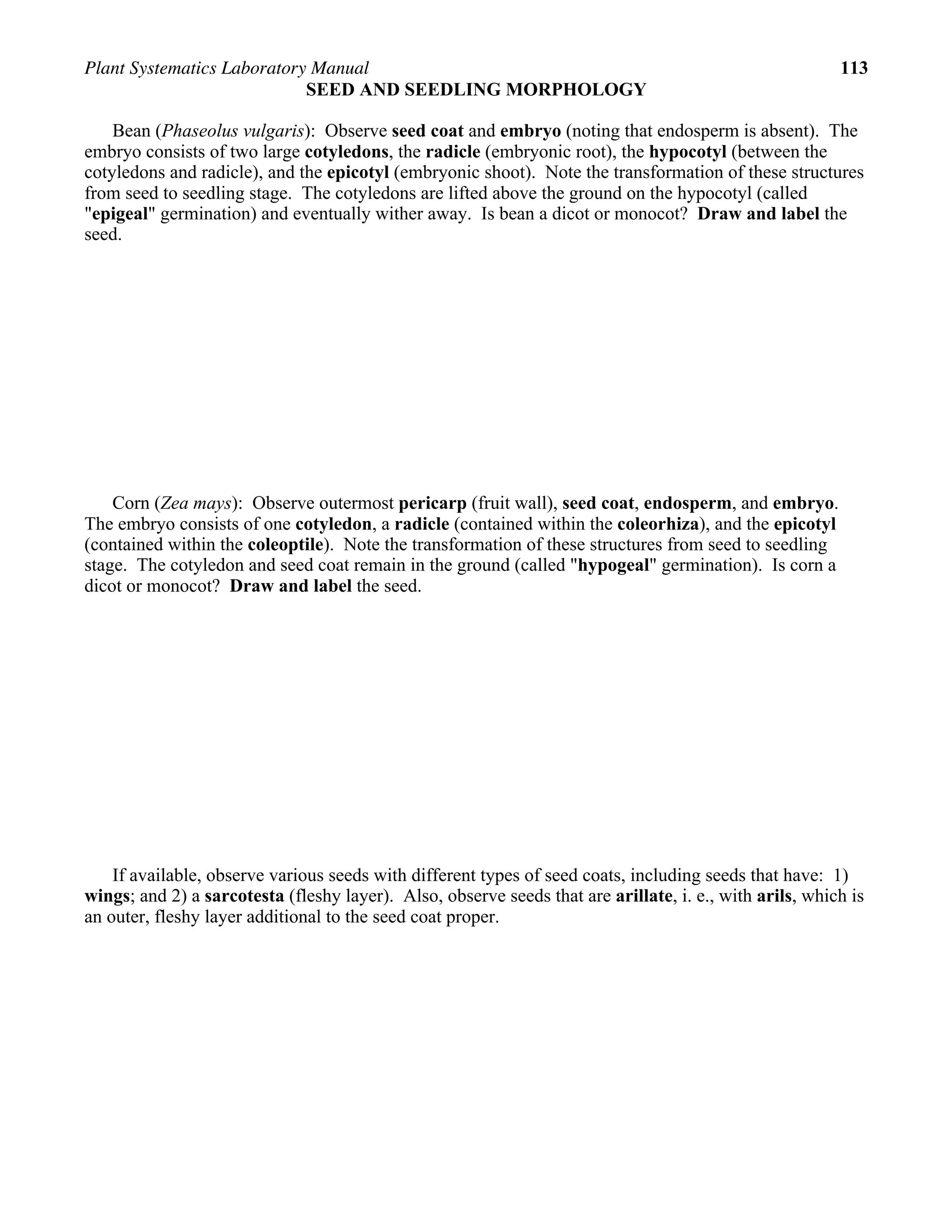 Plant Systematics Laboratory Manual 113
SEED AND SEEDLING MORPHOLOGY
Bean (Phaseolus vulgaris): Observe seed coat and embryo (noting that endosperm is absent). The
embryo consists of two large cotyledons, the radicle (embryonic root), the hypocotyl (between the
cotyledons and radicle), and the epicotyl (embryonic shoot). Note the transformation of these structures
from seed to seedling stage. The cotyledons are lifted above the ground on the hypocotyl (called
"epigeal" germination) and eventually wither away. Is bean a dicot or monocot? Draw and label the
seed.
Corn (Zea mays): Observe outermost pericarp (fruit wall), seed coat, endosperm, and embryo.
The embryo consists of one cotyledon, a radicle (contained within the coleorhiza), and the epicotyl
(contained within the coleoptile). Note the transformation of these structures from seed to seedling
stage. The cotyledon and seed coat remain in the ground (called "hypogeal" germination). Is corn a
dicot or monocot? Draw and label the seed.
If available, observe various seeds with different types of seed coats, including seeds that have: 1)
wings; and 2) a sarcotesta (fleshy layer). Also, observe seeds that are arillate, i. e., with arils, which is
an outer, fleshy layer additional to the seed coat proper.
 