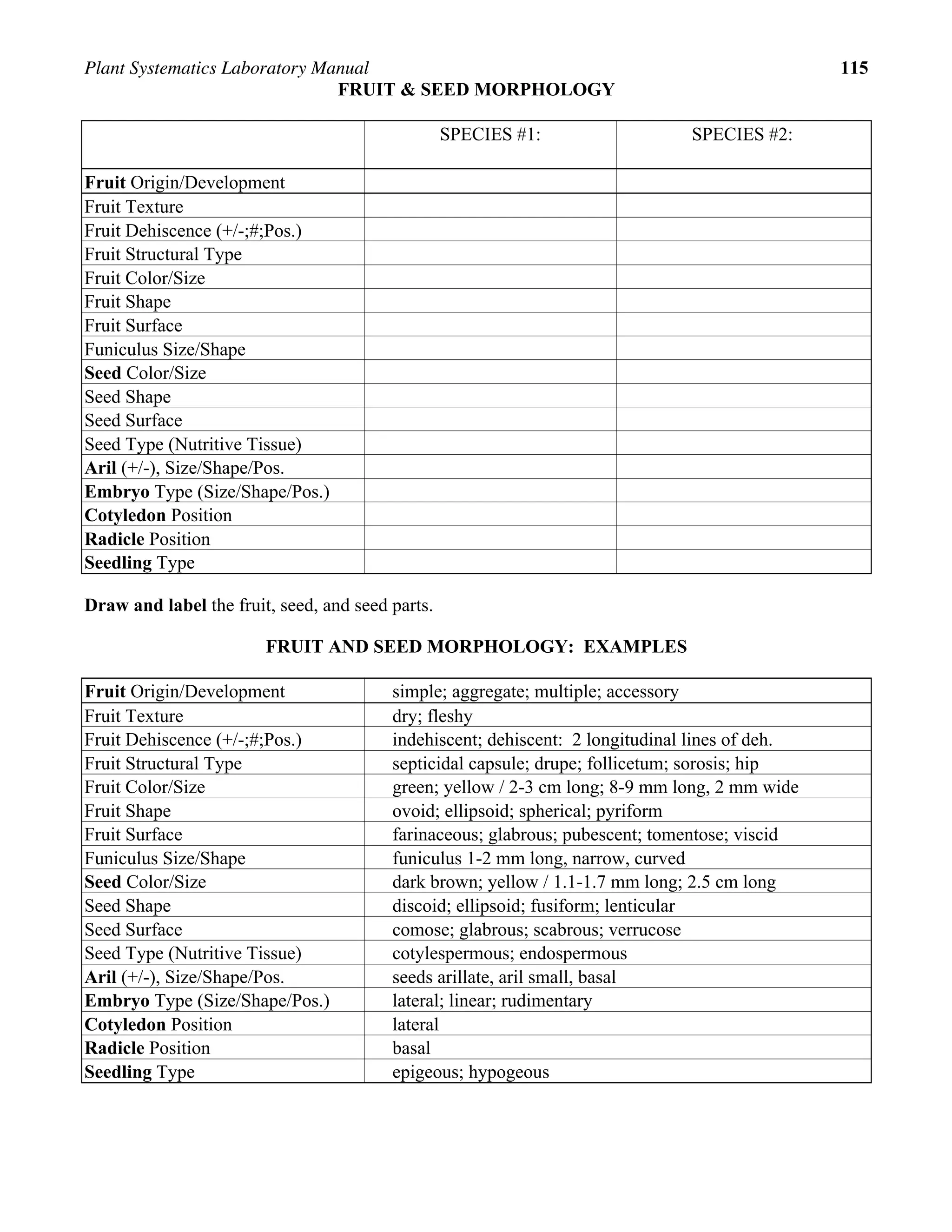 Plant Systematics Laboratory Manual 115
FRUIT & SEED MORPHOLOGY
SPECIES #1: SPECIES #2:
Fruit Origin/Development
Fruit Texture
Fruit Dehiscence (+/-;#;Pos.)
Fruit Structural Type
Fruit Color/Size
Fruit Shape
Fruit Surface
Funiculus Size/Shape
Seed Color/Size
Seed Shape
Seed Surface
Seed Type (Nutritive Tissue)
Aril (+/-), Size/Shape/Pos.
Embryo Type (Size/Shape/Pos.)
Cotyledon Position
Radicle Position
Seedling Type
Draw and label the fruit, seed, and seed parts.
FRUIT AND SEED MORPHOLOGY: EXAMPLES
Fruit Origin/Development simple; aggregate; multiple; accessory
Fruit Texture dry; fleshy
Fruit Dehiscence (+/-;#;Pos.) indehiscent; dehiscent: 2 longitudinal lines of deh.
Fruit Structural Type septicidal capsule; drupe; follicetum; sorosis; hip
Fruit Color/Size green; yellow / 2-3 cm long; 8-9 mm long, 2 mm wide
Fruit Shape ovoid; ellipsoid; spherical; pyriform
Fruit Surface farinaceous; glabrous; pubescent; tomentose; viscid
Funiculus Size/Shape funiculus 1-2 mm long, narrow, curved
Seed Color/Size dark brown; yellow / 1.1-1.7 mm long; 2.5 cm long
Seed Shape discoid; ellipsoid; fusiform; lenticular
Seed Surface comose; glabrous; scabrous; verrucose
Seed Type (Nutritive Tissue) cotylespermous; endospermous
Aril (+/-), Size/Shape/Pos. seeds arillate, aril small, basal
Embryo Type (Size/Shape/Pos.) lateral; linear; rudimentary
Cotyledon Position lateral
Radicle Position basal
Seedling Type epigeous; hypogeous
 