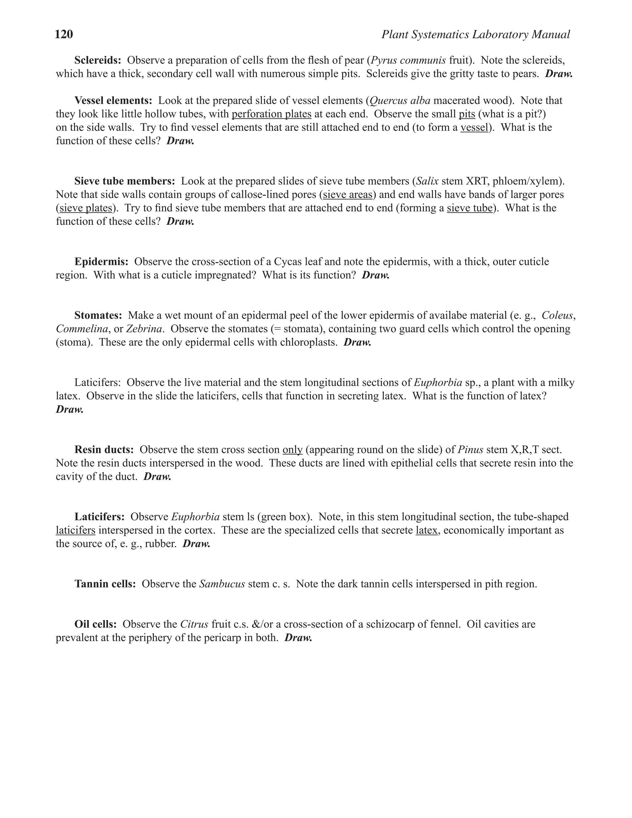 120 Plant Systematics Laboratory Manual
Sclereids: Observe a preparation of cells from the ﬂesh of pear (Pyrus communis
Observe a preparation of cells from the ﬂesh of pear (Pyrus communis
Observe a preparation of cells from the ﬂesh of pear ( fruit). Note the sclereids,
which have a thick, secondary cell wall with numerous simple pits. Sclereids give the gritty taste to pears. Draw.
Vessel elements: Look at the prepared slide of vessel elements (Quercus alba macerated wood). Note that
they look like little hollow tubes, with perforation plates
perforation plates at each end. Observe the small pits
pits (what is a pit?)
on the side walls. Try to ﬁnd vessel elements that are still attached end to end (to form a vessel). What is the
function of these cells? Draw.
Sieve tube members: Look at the prepared slides of sieve tube members (Salix stem XRT, phloem/xylem).
Note that side walls contain groups of callose-lined pores (sieve areas) and end walls have bands of larger pores
(sieve plates
sieve plates). Try to ﬁnd sieve tube members that are attached end to end (forming a sieve tube). What is the
function of these cells? Draw.
Epidermis: Observe the cross-section of a Cycas leaf and note the epidermis, with a thick, outer cuticle
region. With what is a cuticle impregnated? What is its function? Draw.
Stomates: Make a wet mount of an epidermal peel of the lower epidermis of availabe material (e. g., Coleus,
Commelina, or Zebrina. Observe the stomates (= stomata), containing two guard cells which control the opening
(stoma). These are the only epidermal cells with chloroplasts. Draw.
Laticifers: Observe the live material and the stem longitudinal sections of Euphorbia sp., a plant with a milky
latex. Observe in the slide the laticifers, cells that function in secreting latex. What is the function of latex?
Draw.
Resin ducts: Observe the stem cross section only
only (appearing round on the slide) of Pinus stem X,R,T sect.
Note the resin ducts interspersed in the wood. These ducts are lined with epithelial cells that secrete resin into the
cavity of the duct. Draw.
Laticifers: Observe Euphorbia stem ls (green box). Note, in this stem longitudinal section, the tube-shaped
laticifers interspersed in the cortex. These are the specialized cells that secrete latex, economically important as
the source of, e. g., rubber. Draw.
Tannin cells: Observe the Sambucus stem c. s. Note the dark tannin cells interspersed in pith region.
Oil cells: Observe the Citrus fruit c.s. &/or a cross-section of a schizocarp of fennel. Oil cavities are
prevalent at the periphery of the pericarp in both. Draw.
 