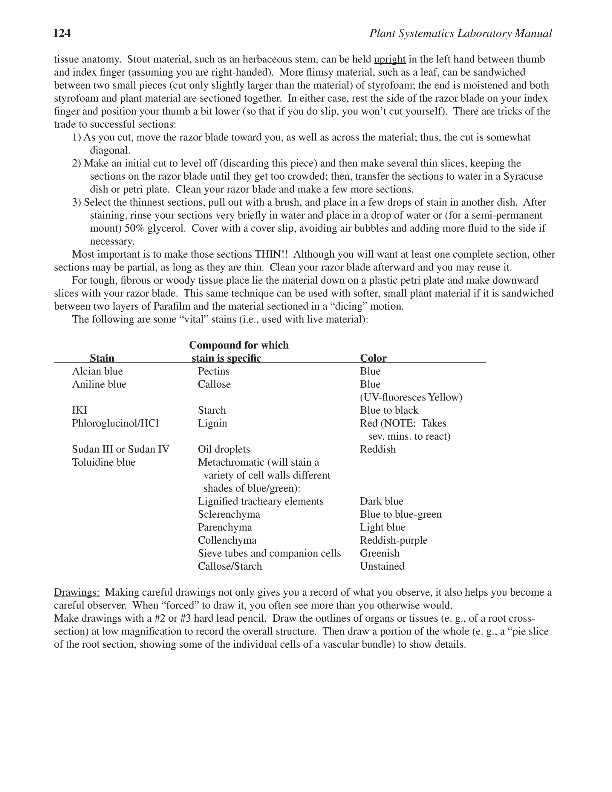 124 Plant Systematics Laboratory Manual
tissue anatomy. Stout material, such as an herbaceous stem, can be held upright
upright in the left hand between thumb
upright in the left hand between thumb
upright
and index ﬁnger (assuming you are right-handed). More ﬂimsy material, such as a leaf, can be sandwiched
between two small pieces (cut only slightly larger than the material) of styrofoam; the end is moistened and both
styrofoam and plant material are sectioned together. In either case, rest the side of the razor blade on your index
ﬁnger and position your thumb a bit lower (so that if you do slip, you won’t cut yourself). There are tricks of the
trade to successful sections:
1) As you cut, move the razor blade toward you, as well as across the material; thus, the cut is somewhat
diagonal.
2) Make an initial cut to level off (discarding this piece) and then make several thin slices, keeping the
sections on the razor blade until they get too crowded; then, transfer the sections to water in a Syracuse
dish or petri plate. Clean your razor blade and make a few more sections.
3) Select the thinnest sections, pull out with a brush, and place in a few drops of stain in another dish. After
staining, rinse your sections very brieﬂy in water and place in a drop of water or (for a semi-permanent
mount) 50% glycerol. Cover with a cover slip, avoiding air bubbles and adding more ﬂuid to the side if
necessary.
Most important is to make those sections THIN!! Although you will want at least one complete section, other
sections may be partial, as long as they are thin. Clean your razor blade afterward and you may reuse it.
For tough, ﬁbrous or woody tissue place lie the material down on a plastic petri plate and make downward
slices with your razor blade. This same technique can be used with softer, small plant material if it is sandwiched
between two layers of Paraﬁlm and the material sectioned in a “dicing” motion.
The following are some “vital” stains (i.e., used with live material):
Compound for which
Stain stain is speciﬁc Color
Stain stain is speciﬁc Color
Alcian blue Pectins Blue
Aniline blue Callose Blue
(UV-ﬂuoresces Yellow)
IKI Starch Blue to black
Phloroglucinol/HCl Lignin Red (NOTE: Takes
sev. mins. to react)
Sudan III or Sudan IV Oil droplets Reddish
Toluidine blue Metachromatic (will stain a
variety of cell walls different
shades of blue/green):
Ligniﬁed tracheary elements Dark blue
Sclerenchyma Blue to blue-green
Parenchyma Light blue
Collenchyma Reddish-purple
Sieve tubes and companion cells Greenish
Callose/Starch Unstained
Drawings:
Drawings: Making careful drawings not only gives you a record of what you observe, it also helps you become a
careful observer. When “forced” to draw it, you often see more than you otherwise would.
Make drawings with a #2 or #3 hard lead pencil. Draw the outlines of organs or tissues (e. g., of a root cross-
section) at low magniﬁcation to record the overall structure. Then draw a portion of the whole (e. g., a “pie slice
of the root section, showing some of the individual cells of a vascular bundle) to show details.
 