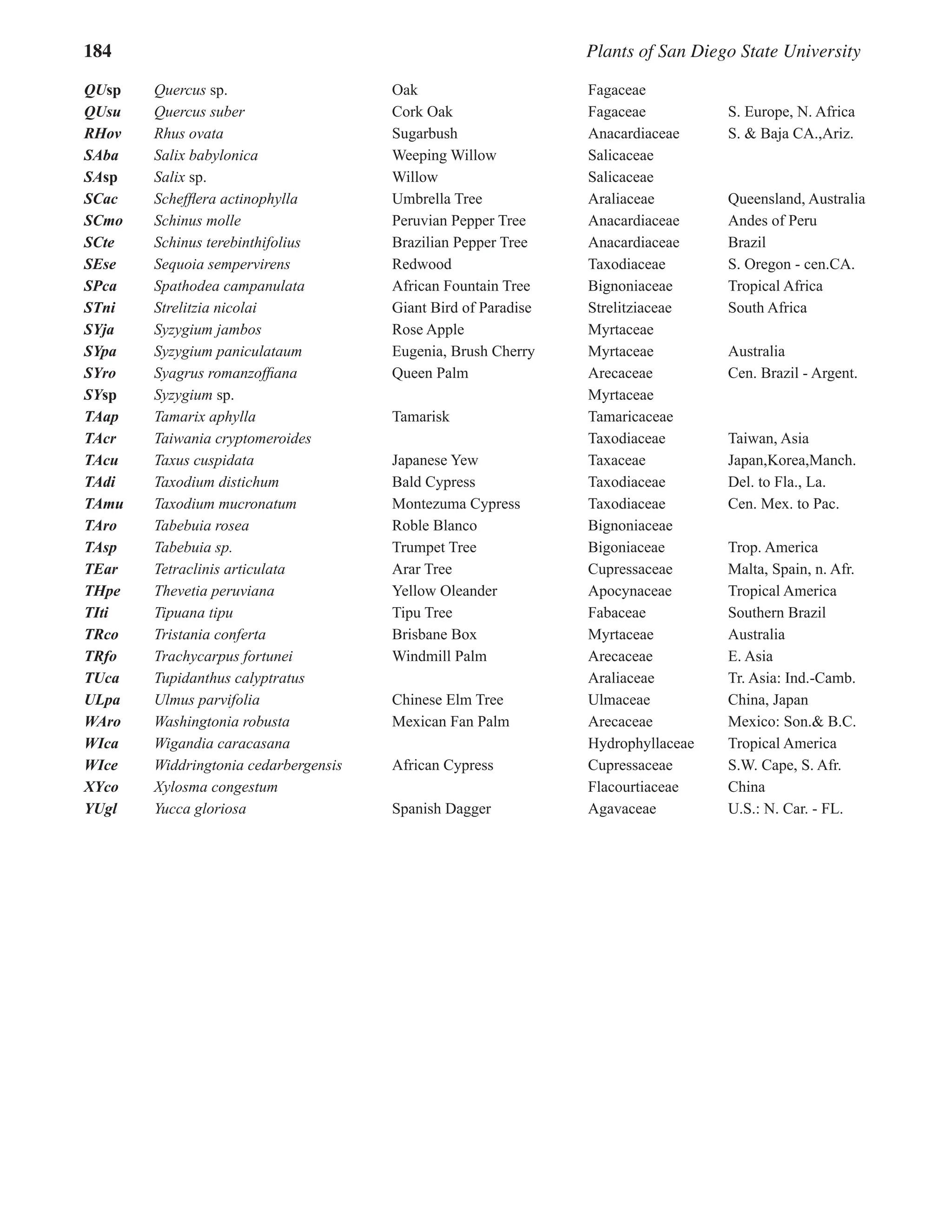 184 Plants of San Diego State University
QUsp Quercus sp. Oak Fagaceae
QUsu Quercus suber Cork Oak Fagaceae S. Europe, N. Africa
RHov Rhus ovata Sugarbush Anacardiaceae S. & Baja CA.,Ariz.
SAba Salix babylonica Weeping Willow Salicaceae
SAsp Salix sp. Willow Salicaceae
SCac Schefflera actinophylla Umbrella Tree Araliaceae Queensland, Australia
SCmo Schinus molle Peruvian Pepper Tree Anacardiaceae Andes of Peru
SCte Schinus terebinthifolius Brazilian Pepper Tree Anacardiaceae Brazil
SEse Sequoia sempervirens Redwood Taxodiaceae S. Oregon - cen.CA.
SPca Spathodea campanulata African Fountain Tree Bignoniaceae Tropical Africa
STni Strelitzia nicolai Giant Bird of Paradise Strelitziaceae South Africa
SYja Syzygium jambos Rose Apple Myrtaceae
SYpa Syzygium paniculataum Eugenia, Brush Cherry Myrtaceae Australia
SYro Syagrus romanzoffiana Queen Palm Arecaceae Cen. Brazil - Argent.
SYsp Syzygium sp. 		 Myrtaceae
TAap Tamarix aphylla Tamarisk Tamaricaceae
TAcr Taiwania cryptomeroides Taxodiaceae Taiwan, Asia
TAcu Taxus cuspidata Japanese Yew Taxaceae Japan,Korea,Manch.
TAdi Taxodium distichum Bald Cypress Taxodiaceae Del. to Fla., La.
TAmu Taxodium mucronatum Montezuma Cypress Taxodiaceae Cen. Mex. to Pac.
TAro Tabebuia rosea Roble Blanco Bignoniaceae
TAsp Tabebuia sp. Trumpet Tree Bigoniaceae Trop. America
TEar Tetraclinis articulata Arar Tree Cupressaceae Malta, Spain, n. Afr.
THpe Thevetia peruviana Yellow Oleander Apocynaceae Tropical America
TIti Tipuana tipu Tipu Tree Fabaceae Southern Brazil
TRco Tristania conferta Brisbane Box Myrtaceae Australia
TRfo Trachycarpus fortunei Windmill Palm Arecaceae E. Asia
TUca Tupidanthus calyptratus		 Araliaceae Tr. Asia: Ind.-Camb.
ULpa Ulmus parvifolia Chinese Elm Tree Ulmaceae China, Japan
WAro Washingtonia robusta Mexican Fan Palm Arecaceae Mexico: Son.& B.C.
WIca Wigandia caracasana 		 Hydrophyllaceae Tropical America
WIce Widdringtonia cedarbergensis African Cypress Cupressaceae S.W. Cape, S. Afr.
XYco Xylosma congestum Flacourtiaceae China
YUgl Yucca gloriosa Spanish Dagger Agavaceae U.S.: N. Car. - FL.
 