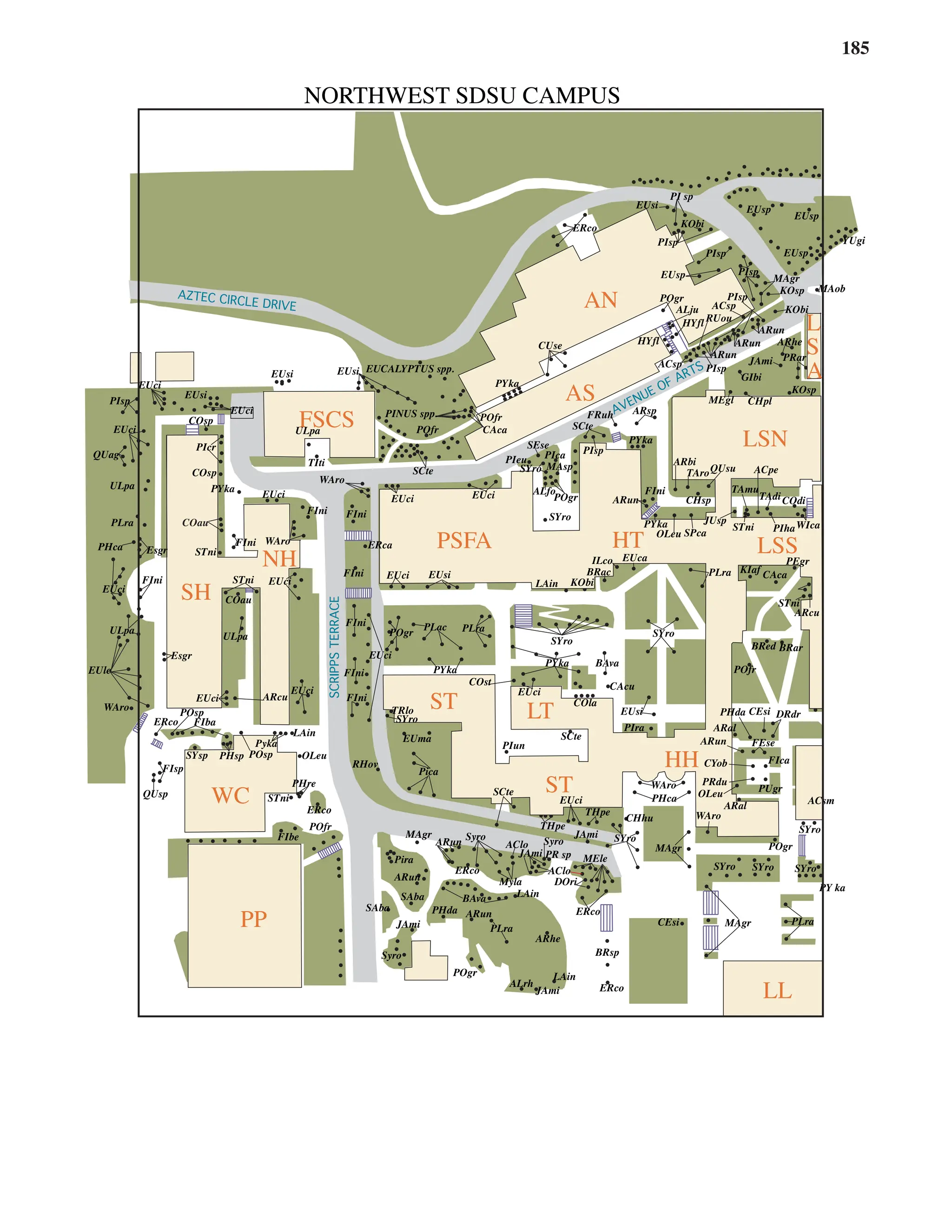 185
PSFA HT
ST LT
HH
FSCS
AS
LSN
LSS
WC
NH
PP
L
S
A
ST
LL
AN
SH
EUci
YUgi
EUci
PYka
ULpa
EUsi
TIti
FIni FIni
EUci
WAro
EUci
PYka
POfr
POgr
KOsp
STni
PIeu
SYro
ALfo
PIca
MAsp
PYka
CUse
PYka
PY ka
ULpa
EUci
FIni
FIni
FIni
STni
WAro
EUci
FIni
Pira
Pyka
LAin
OLeu
ERco
FIbe
STni
PHre
MAgr
ARun
SAba
SAba PHda ARun
Myla
PLra
Syro
Syro Syro
ERco
BAva
ARhe
ERco
AClo
AClo
JAmi
JAmi
POgr
SCte
ALrh
THpe
PR sp MEle
JAmi
SYro
SYro SYro
MAgr
Pica
POfr
EUci
WAro
WAro
SYro
CEsi
POgr
PLra
CHhu
CYob FIca
PUgr
ARal
PHca
ARal
EUma
RHov
SYro
TRlo
PIun
COla
SCte
PIra
EUsi
ACsm
FEse
ARun
SYro
BAva
CAcu
JUsp
PYka
SYro
LAin
POgr
EUsi
PLac PLra
COst
ERca
KObi
EUci
SYro
GIbi
JAmi
MEgl CHpl
TAroQUsu
CHsp
ARbi
ARun
TAmu
ACpe
TAdi COdi
FRuh
SCte
EUca
ILco
BRac PLra KIaf
ARcu
WIca
PRar
FIni
PIha
DOri
ARun
JAmi
LAin
LAin
ERco
BRsp
FIni
EUci
THpe
MAgr
EUsi
PI sp
PIsp
EUsi
KObi
EUsp
EUsp
EUsp
PIsp
PIsp
PIsp
KObi
KOsp MAob
POgr
HYfl
ERco
ARhe
POfr
SCte
EUCALYPTUS spp.
PINUS spp.
PEgr
STni
SYro
EUci
PYka
OLeu SPca
SEse PIsp
ARsp
CAca
ALju
HYfl RUou
ARun
ARun
ARun
ACsp
ACsp PIsp
PIsp
COsp
COsp
PIcr
EUci
ULpa
ULpa
EUci
PLra
Esgr
COau
STni
Esgr
EUle
ERco
EUci
EUci
FIba
EUsi
EUsp MAgr
POsp
SYsp PHsp POsp
ARcu
QUsp
FIsp
COau
QUag
PHca
FIni
WAro
CAca
BRed BRar
POfr
CEsi DRdr
PHda
PRdu
OLeu
SCRIPPS
TERRACE
AZTEC CIRCLE DRIVE
AVENUE OF ARTS
NORTHWEST SDSU CAMPUS
 