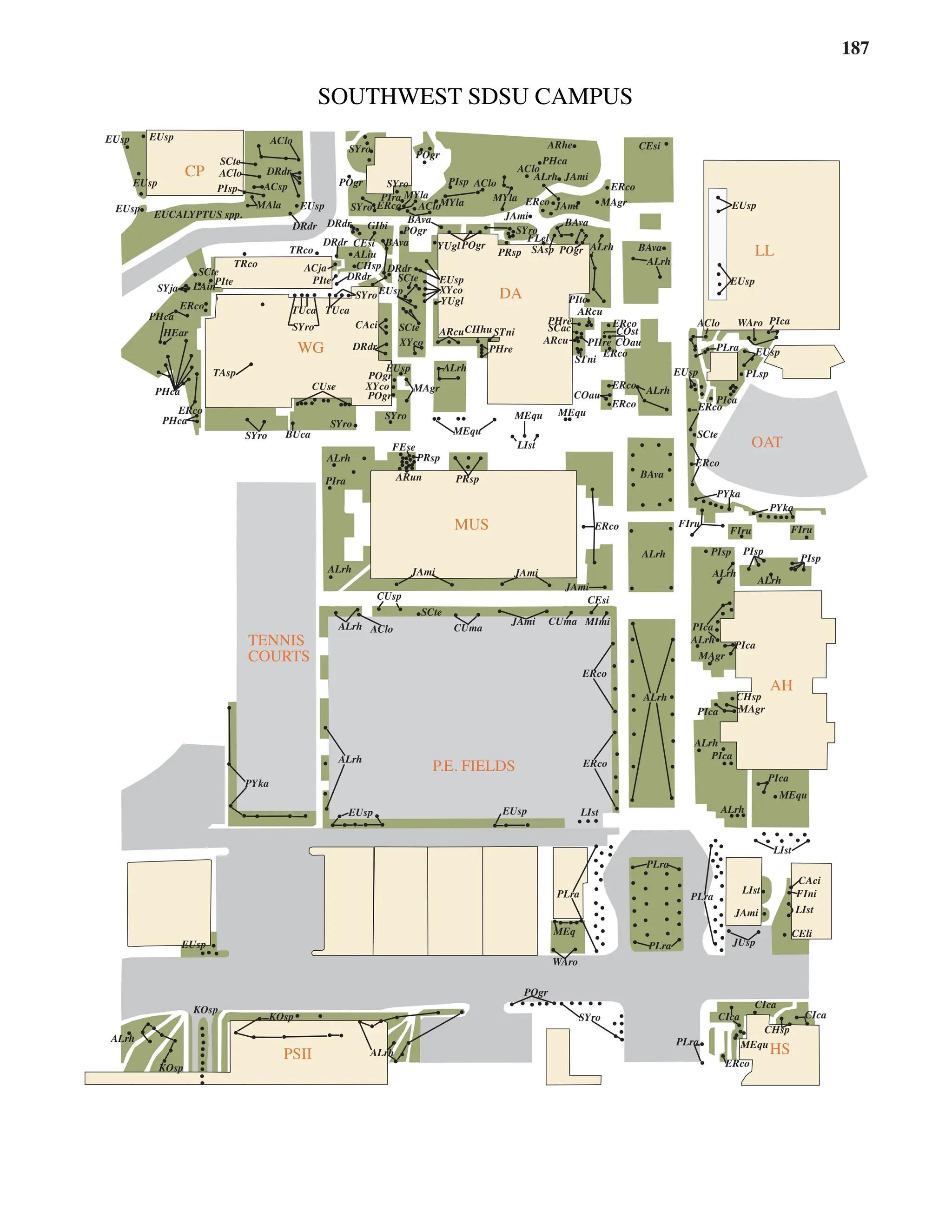 187
PIca
JAmi
JAmi
BAva
PRsp SAsp POgr
SYro
ALrh
JAmi
ALrh
ERco
ERco
MAgr
MYla
AClo
AClo
POgr
MYla
AClo
POgr
BAva
BAva
POgr
MYla
ERco
YUgl
SYro
SYro
PIsp
GIbi
PIra
CEsi
DRdr
ALiu
DRdr
DRdr
EUsp
ACsp
MAla
AClo
SCte
PIsp
EUsp
EUsp
EUCALYPTUS spp.
TRco
ERco
SYja
PIte
SCte
TRco
ACja
PIte DRdr
YUgl
CHsp
SYro
SCte EUsp
PIto
BAva
ALrh
EUsp
PIca
WAro
AClo
ERco
COst
ARcu
PHre
SCac
ARcuCHhuSTni
CAci SCte
XYco
SYro
TUca TUca
PHca
HEar
PHca
ERco
SYro
TAsp
CUse XYco
SYro
SYro
POgr
EUsp
POgr
MAgr
ALrh
MEqu
MEqu
PHre
MEqu
ERco
ERco
ERco
ARcu
STni
PHre COau
COau
ERco
EUsp
ALrh
PLra EUsp
PLsp
ERco
SCte
LIst
PRsp
ARun
ALrh
BUca
PIra
ERco FIru
PYka
BAva
PYka
FIru
PIsp
PIsp
ALrh
ALrh
JAmi
JAmi
CUsp
ALrh
ALrh AClo
SCte
CUma
JAmi
ALrh
PIca
PIca
PIca
CHsp
ALrh
ALrh
ERco
PYka
ALrh ERco
PIca
PIca
ALrh
MEqu
LIst
LIst
EUsp
EUsp
EUsp
MEq
PLra
PLra PLra
LIst
JAmi
JUsp
LIst
CEli
MEqu
CHsp
CIca
CIca
CIca
PLra
SYro
KOsp
KOsp
ALrh
KOsp
ALrh
ERco
WAro
POgr
SYro
PHca
ARhe CEsi
EUsp
EUsp AClo
CUma MImi
CEsi
PLra
POgr
CAci
FIni
MAgr
MAgr
PRsp
FEse
EUsp
ALrh
PIsp
JAmi
DRdr
LAin
PHca
XYco
EUsp
DRdr
DRdr
FLel
FIru
CP
LL
DA
WG
MUS
OAT
AH
TENNIS
COURTS
P.E. FIELDS
HS
PSII
SOUTHWEST SDSU CAMPUS
 