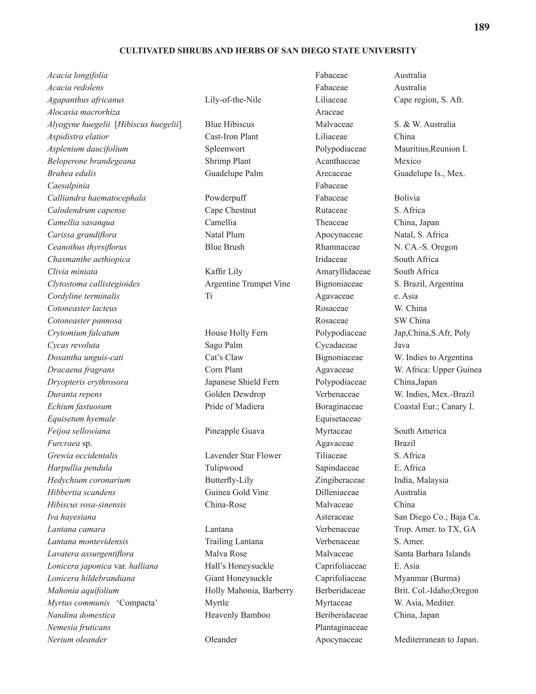 189
CULTIVATED SHRUBS AND HERBS OF SAN DIEGO STATE UNIVERSITY
Acacia longifolia 		 Fabaceae Australia
Acacia redolens 		 Fabaceae Australia
Agapanthus africanus Lily-of-the-Nile Liliaceae Cape region, S. Afr.
Alocasia macrorhiza Araceae
Alyogyne huegelii [Hibiscus huegelii] Blue Hibiscus Malvaceae S. & W. Australia
Aspidistra elatior Cast-Iron Plant Liliaceae China
Asplenium daucifolium Spleenwort Polypodiaceae Mauritius,Reunion I.
Beloperone brandegeana Shrimp Plant Acanthaceae Mexico
Brahea edulis Guadelupe Palm Arecaceae Guadelupe Is., Mex.
Caesalpinia Fabaceae
Calliandra haematocephala Powderpuff Fabaceae Bolivia
Calodendrum capense Cape Chestnut Rutaceae S. Africa
Camellia sasanqua Camellia Theaceae China, Japan
Carissa grandiflora Natal Plum Apocynaceae Natal, S. Africa
Ceanothus thyrsiflorus Blue Brush Rhamnaceae N. CA.-S. Oregon
Chasmanthe aethiopica Iridaceae South Africa
Clivia miniata Kaffir Lily Amaryllidaceae South Africa
Clytostoma callistegioides Argentine Trumpet Vine Bignoniaceae S. Brazil, Argentina
Cordyline terminalis Ti Agavaceae e. Asia
Cotoneaster lacteus Rosaceae W. China
Cotoneaster pannosa Rosaceae SW China
Crytomium falcatum House Holly Fern Polypodiaceae Jap,China,S.Afr, Poly
Cycas revoluta Sago Palm Cycadaceae Java
Doxantha unguis-cati Cat’s Claw Bignoniaceae W. Indies to Argentina
Dracaena fragrans Corn Plant Agavaceae W. Africa: Upper Guinea
Dryopteris erythrosora Japanese Shield Fern Polypodiaceae China,Japan
Duranta repens Golden Dewdrop Verbenaceae W. Indies, Mex.-Brazil
Echium fastuosum Pride of Madiera Boraginaceae Coastal Eur.; Canary I.
Equisetum hyemale 		 Equisetaceae
Feijoa sellowiana Pineapple Guava Myrtaceae South America
Furcraea sp. Agavaceae Brazil
Grewia occidentalis Lavender Star Flower Tiliaceae S. Africa
Harpullia pendula Tulipwood Sapindaceae E. Africa
Hedychium coronarium Butterfly-Lily Zingiberaceae India, Malaysia
Hibbertia scandens Guinea Gold Vine Dilleniaceae Australia
Hibiscus rosa-sinensis China-Rose Malvaceae China
Iva hayesiana Asteraceae San Diego Co.; Baja Ca.
Lantana camara Lantana Verbenaceae Trop. Amer. to TX, GA
Lantana montevidensis Trailing Lantana Verbenaceae S. Amer.
Lavatera assurgentiflora Malva Rose Malvaceae Santa Barbara Islands
Lonicera japonica var. halliana Hall’s Honeysuckle Caprifoliaceae E. Asia
Lonicera hildebrandiana Giant Honeysuckle Caprifoliaceae Myanmar (Burma)
Mahonia aquifolium Holly Mahonia, Barberry Berberidaceae Brit. Col.-Idaho;Oregon
Myrtus communis ‘Compacta’ Myrtle Myrtaceae W. Asia, Mediter.
Nandina domestica Heavenly Bamboo Beriberidaceae China, Japan
Nemesia fruticans Plantaginaceae
Nerium oleander Oleander Apocynaceae Mediterranean to Japan.
 