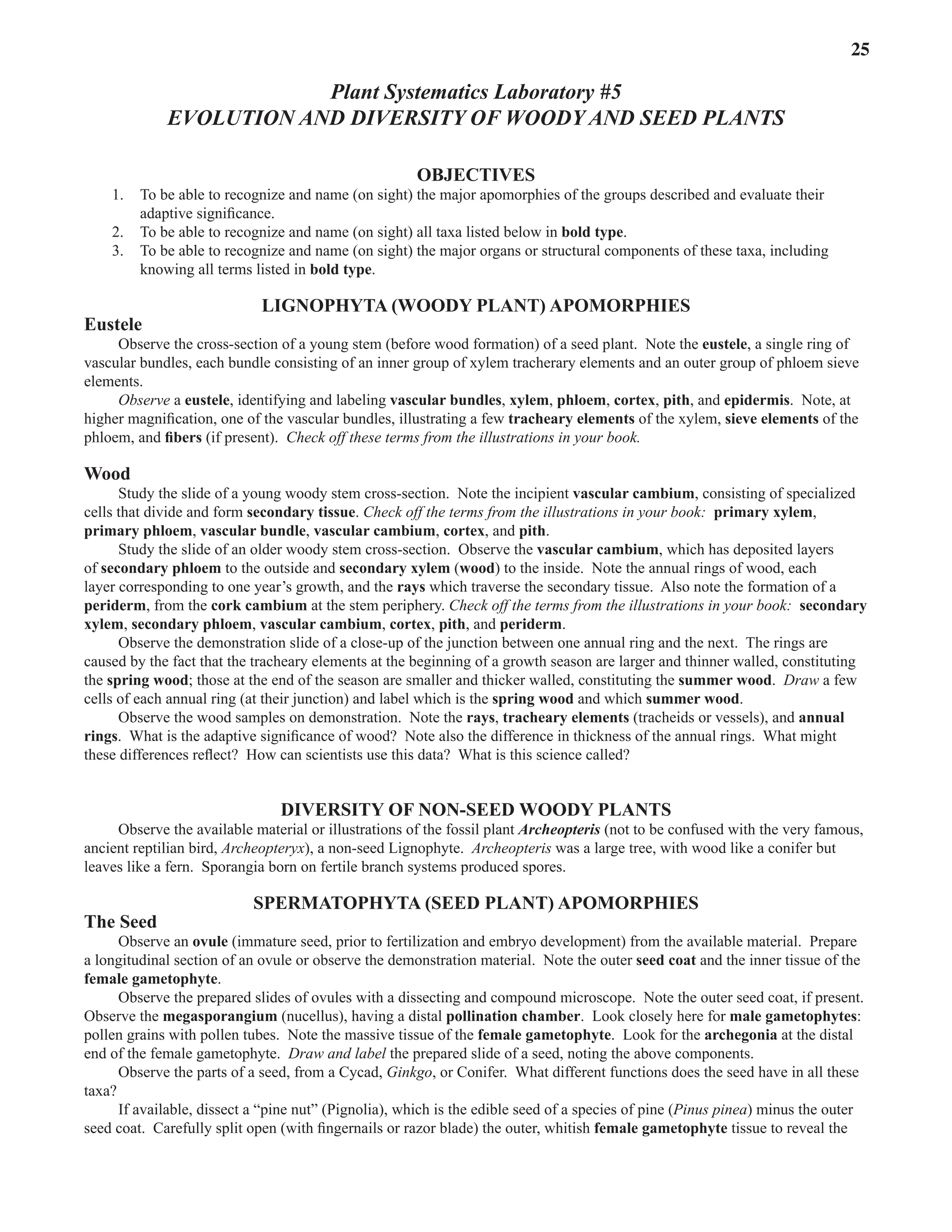 Laboratory 5 Evolution and Diversity of Woody and Seed Plants 25
Plant Systematics Laboratory #5
Evolution AND DIVERSITY of Woody and Seed Plants
OBJECTIVES
1. To be able to recognize and name (on sight) the major apomorphies of the groups described and evaluate their
adaptive significance.  
2. To be able to recognize and name (on sight) all taxa listed below in bold type.  
3. To be able to recognize and name (on sight) the major organs or structural components of these taxa, including
knowing all terms listed in bold type.  
Lignophyta (Woody Plant) APOMORPHIES
Eustele
Observe the cross-section of a young stem (before wood formation) of a seed plant.  Note the eustele, a single ring of
vascular bundles, each bundle consisting of an inner group of xylem tracherary elements and an outer group of phloem sieve
elements.  
Observe a eustele, identifying and labeling vascular bundles, xylem, phloem, cortex, pith, and epidermis.  Note, at
higher magnification, one of the vascular bundles, illustrating a few tracheary elements of the xylem, sieve elements of the
phloem, and fibers (if present).  Check off these terms from the illustrations in your book.
Wood
Study the slide of a young woody stem cross-section.  Note the incipient vascular cambium, consisting of specialized
cells that divide and form secondary tissue. Check off the terms from the illustrations in your book: primary xylem,
primary phloem, vascular bundle, vascular cambium, cortex, and pith.
Study the slide of an older woody stem cross-section.  Observe the vascular cambium, which has deposited layers
of secondary phloem to the outside and secondary xylem (wood) to the inside.  Note the annual rings of wood, each
layer corresponding to one year’s growth, and the rays which traverse the secondary tissue.  Also note the formation of a
periderm, from the cork cambium at the stem periphery. Check off the terms from the illustrations in your book: secondary
xylem, secondary phloem, vascular cambium, cortex, pith, and periderm.  
Observe the demonstration slide of a close-up of the junction between one annual ring and the next.  The rings are
caused by the fact that the tracheary elements at the beginning of a growth season are larger and thinner walled, constituting
the spring wood; those at the end of the season are smaller and thicker walled, constituting the summer wood.  Draw a few
cells of each annual ring (at their junction) and label which is the spring wood and which summer wood.  
Observe the wood samples on demonstration.  Note the rays, tracheary elements (tracheids or vessels), and annual
rings.  What is the adaptive significance of wood?  Note also the difference in thickness of the annual rings.  What might
these differences reflect?  How can scientists use this data?  What is this science called?  
DIVERSITY OF Non-seed woody plants
Observe the available material or illustrations of the fossil plant Archeopteris (not to be confused with the very famous,
ancient reptilian bird, Archeopteryx), a non-seed Lignophyte.  Archeopteris was a large tree, with wood like a conifer but
leaves like a fern.  Sporangia born on fertile branch systems produced spores.  
Spermatophyta (Seed Plant) APOMORPHIES
The Seed
Observe an ovule (immature seed, prior to fertilization and embryo development) from the available material.  Prepare
a longitudinal section of an ovule or observe the demonstration material.  Note the outer seed coat and the inner tissue of the
female gametophyte.  
Observe the prepared slides of ovules with a dissecting and compound microscope.  Note the outer seed coat, if present.  
Observe the megasporangium (nucellus), having a distal pollination chamber.  Look closely here for male gametophytes:  
pollen grains with pollen tubes.  Note the massive tissue of the female gametophyte.  Look for the archegonia at the distal
end of the female gametophyte.  Draw and label the prepared slide of a seed, noting the above components.  
Observe the parts of a seed, from a Cycad, Ginkgo, or Conifer.  What different functions does the seed have in all these
taxa?  
If available, dissect a “pine nut” (Pignolia), which is the edible seed of a species of pine (Pinus pinea) minus the outer
seed coat.  Carefully split open (with fingernails or razor blade) the outer, whitish female gametophyte tissue to reveal the
 