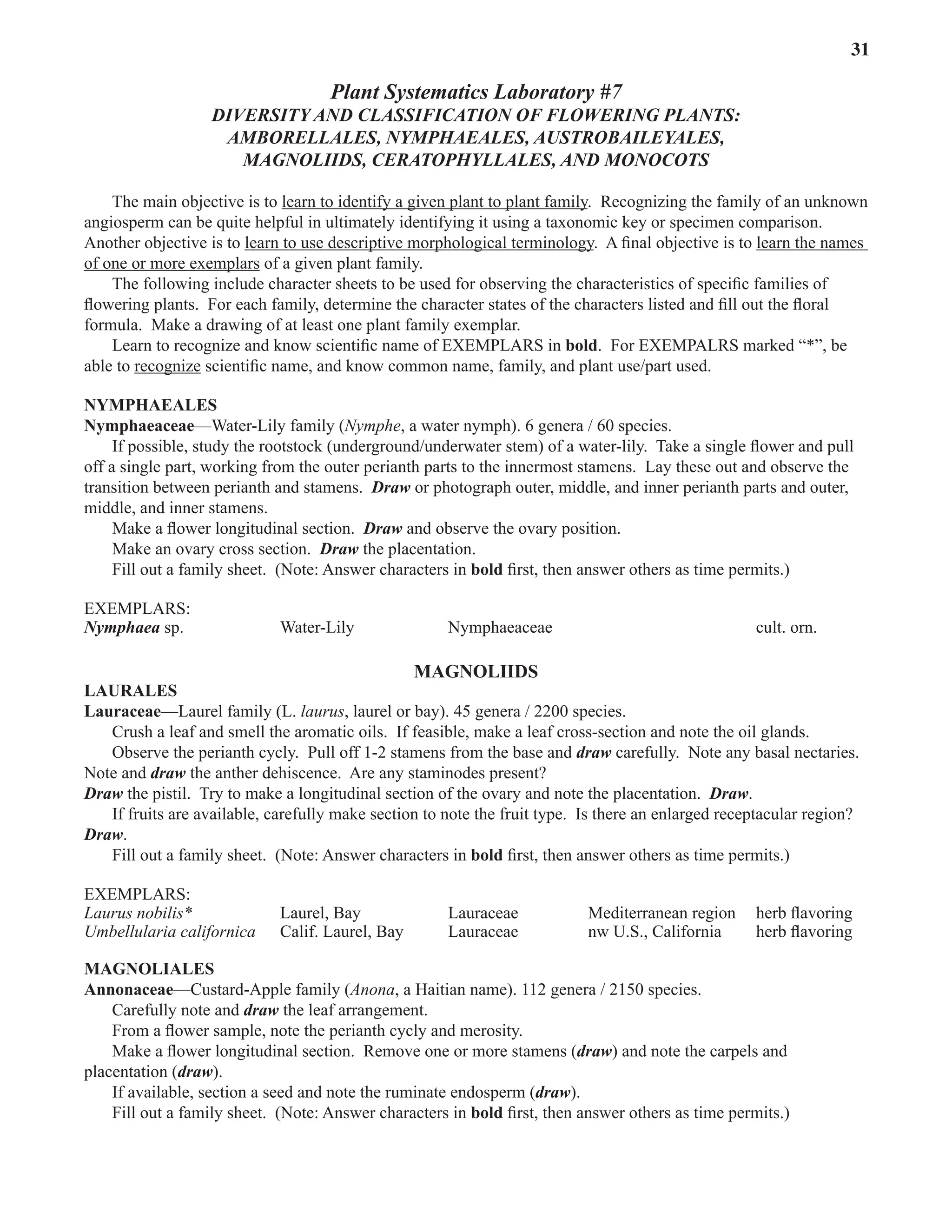 Laboratory 7 Diversity and Classification of Flowering Plants: Amborellales – Monocots 31
Plant Systematics Laboratory #7
DIVERSITY AND CLASSIFICATION OF FLOWERING PLANTS:
AMBORELLALES, NYMPHAEALES, AUSTROBAILEYALES,
MAGNOLIIDS, CERATOPHYLLALES, AND MONOCOTS
The main objective is to learn to identify a given plant to plant family.  Recognizing the family of an unknown
angiosperm can be quite helpful in ultimately identifying it using a taxonomic key or specimen comparison.  
Another objective is to learn to use descriptive morphological terminology.  A final objective is to learn the names
of one or more exemplars of a given plant family.  
The following include character sheets to be used for observing the characteristics of specific families of
flowering plants.  For each family, determine the character states of the characters listed and fill out the floral
formula.  Make a drawing of at least one plant family exemplar.
Learn to recognize and know scientific name of EXEMPLARS in bold.  For EXEMPALRS marked “*”, be
able to recognize scientific name, and know common name, family, and plant use/part used.  
NYMPHAEALES
Nymphaeaceae—Water-Lily family (Nymphe, a water nymph). 6 genera / 60 species.
If possible, study the rootstock (underground/underwater stem) of a water-lily.  Take a single flower and pull
off a single part, working from the outer perianth parts to the innermost stamens.  Lay these out and observe the
transition between perianth and stamens.  Draw or photograph outer, middle, and inner perianth parts and outer,
middle, and inner stamens.  
Make a flower longitudinal section.  Draw and observe the ovary position.
Make an ovary cross section.  Draw the placentation.  
Fill out a family sheet.  (Note: Answer characters in bold first, then answer others as time permits.)
EXEMPLARS:
Nymphaea sp. Water-Lily Nymphaeaceae cult. orn.
magnoliIDS
laurales
Lauraceae—Laurel family (L. laurus, laurel or bay). 45 genera / 2200 species.
Crush a leaf and smell the aromatic oils.  If feasible, make a leaf cross-section and note the oil glands.  
Observe the perianth cycly.  Pull off 1-2 stamens from the base and draw carefully.  Note any basal nectaries.  
Note and draw the anther dehiscence.  Are any staminodes present?  
Draw the pistil.  Try to make a longitudinal section of the ovary and note the placentation.  Draw.  
If fruits are available, carefully make section to note the fruit type.  Is there an enlarged receptacular region?  
Draw.  
Fill out a family sheet.  (Note: Answer characters in bold first, then answer others as time permits.)
EXEMPLARS:
Laurus nobilis* Laurel, Bay Lauraceae Mediterranean region herb flavoring
Umbellularia californica Calif. Laurel, Bay Lauraceae nw U.S., California herb flavoring
magnoliales
Annonaceae—Custard-Apple family (Anona, a Haitian name). 112 genera / 2150 species.
Carefully note and draw the leaf arrangement.  
From a flower sample, note the perianth cycly and merosity.  
Make a flower longitudinal section.  Remove one or more stamens (draw) and note the carpels and
placentation (draw).  
If available, section a seed and note the ruminate endosperm (draw).  
Fill out a family sheet.  (Note: Answer characters in bold first, then answer others as time permits.)
 