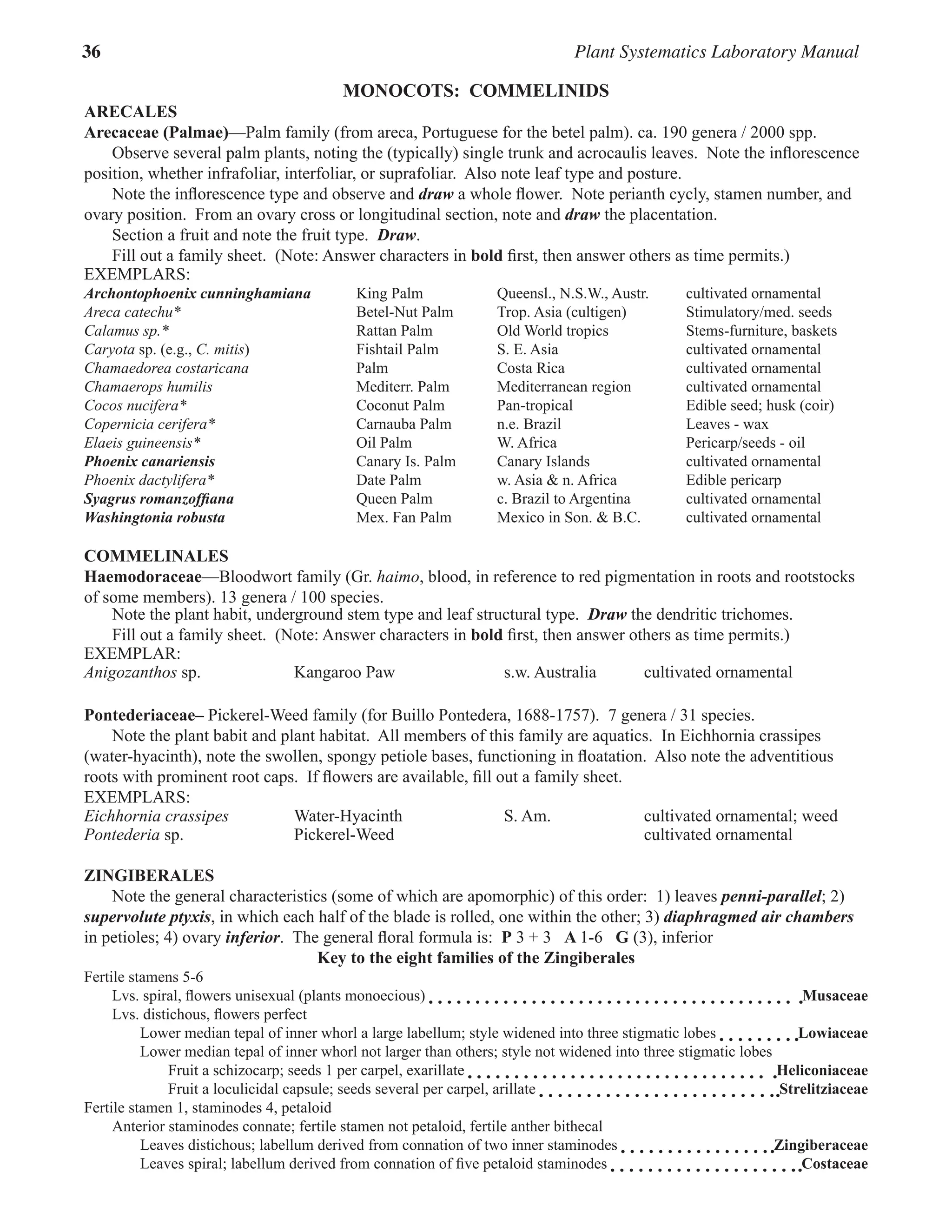 36 Plant Systematics Laboratory Manual
MONOCOTS: COMMELINIDS
ARECALES
Arecaceae (Palmae)—Palm family (from areca, Portuguese for the betel palm). ca. 190 genera / 2000 spp.
Observe several palm plants, noting the (typically) single trunk and acrocaulis leaves.  Note the inflorescence
position, whether infrafoliar, interfoliar, or suprafoliar.  Also note leaf type and posture.  
Note the inflorescence type and observe and draw a whole flower.  Note perianth cycly, stamen number, and
ovary position.  From an ovary cross or longitudinal section, note and draw the placentation.  
Section a fruit and note the fruit type.  Draw.  
Fill out a family sheet.  (Note: Answer characters in bold first, then answer others as time permits.)
EXEMPLARS:
Archontophoenix cunninghamiana King Palm Queensl., N.S.W., Austr. cultivated ornamental
Areca catechu* Betel-Nut Palm Trop. Asia (cultigen) Stimulatory/med. seeds
Calamus sp.* Rattan Palm Old World tropics Stems-furniture, baskets
Caryota sp. (e.g., C. mitis) Fishtail Palm S. E. Asia cultivated ornamental
Chamaedorea costaricana Palm Costa Rica cultivated ornamental
Chamaerops humilis Mediterr. Palm Mediterranean region cultivated ornamental
Cocos nucifera* Coconut Palm Pan-tropical Edible seed; husk (coir)
Copernicia cerifera* Carnauba Palm n.e. Brazil Leaves - wax
Elaeis guineensis* Oil Palm W. Africa Pericarp/seeds - oil
Phoenix canariensis Canary Is. Palm Canary Islands cultivated ornamental
Phoenix dactylifera* Date Palm w. Asia & n. Africa Edible pericarp
Syagrus romanzoffiana Queen Palm c. Brazil to Argentina cultivated ornamental
Washingtonia robusta Mex. Fan Palm Mexico in Son. & B.C. cultivated ornamental
COMMELINALES
Haemodoraceae—Bloodwort family (Gr. haimo, blood, in reference to red pigmentation in roots and rootstocks
of some members). 13 genera / 100 species.
Note the plant habit, underground stem type and leaf structural type.  Draw the dendritic trichomes.  
Fill out a family sheet.  (Note: Answer characters in bold first, then answer others as time permits.)
EXEMPLAR:
Anigozanthos sp. Kangaroo Paw s.w. Australia cultivated ornamental
Pontederiaceae– Pickerel-Weed family (for Buillo Pontedera, 1688-1757).  7 genera / 31 species.
Note the plant babit and plant habitat.  All members of this family are aquatics.  In Eichhornia crassipes
(water-hyacinth), note the swollen, spongy petiole bases, functioning in floatation.  Also note the adventitious
roots with prominent root caps.  If flowers are available, fill out a family sheet.  
EXEMPLARS:
Eichhornia crassipes Water-Hyacinth S. Am. cultivated ornamental; weed
Pontederia sp. Pickerel-Weed cultivated ornamental
ZINGIBERALES
Note the general characteristics (some of which are apomorphic) of this order:  1) leaves penni-parallel; 2)
supervolute ptyxis, in which each half of the blade is rolled, one within the other; 3) diaphragmed air chambers
in petioles; 4) ovary inferior.  The general floral formula is:  P 3 + 3   A 1-6   G (3), inferior
Key to the eight families of the Zingiberales
Fertile stamens 5-6
Lvs. spiral, flowers unisexual (plants monoecious) Musaceae
Lvs. distichous, flowers perfect
Lower median tepal of inner whorl a large labellum; style widened into three stigmatic lobes Lowiaceae
Lower median tepal of inner whorl not larger than others; style not widened into three stigmatic lobes
Fruit a schizocarp; seeds 1 per carpel, exarillate Heliconiaceae
Fruit a loculicidal capsule; seeds several per carpel, arillate Strelitziaceae
Fertile stamen 1, staminodes 4, petaloid
Anterior staminodes connate; fertile stamen not petaloid, fertile anther bithecal
Leaves distichous; labellum derived from connation of two inner staminodes Zingiberaceae
Leaves spiral; labellum derived from connation of five petaloid staminodes Costaceae
 