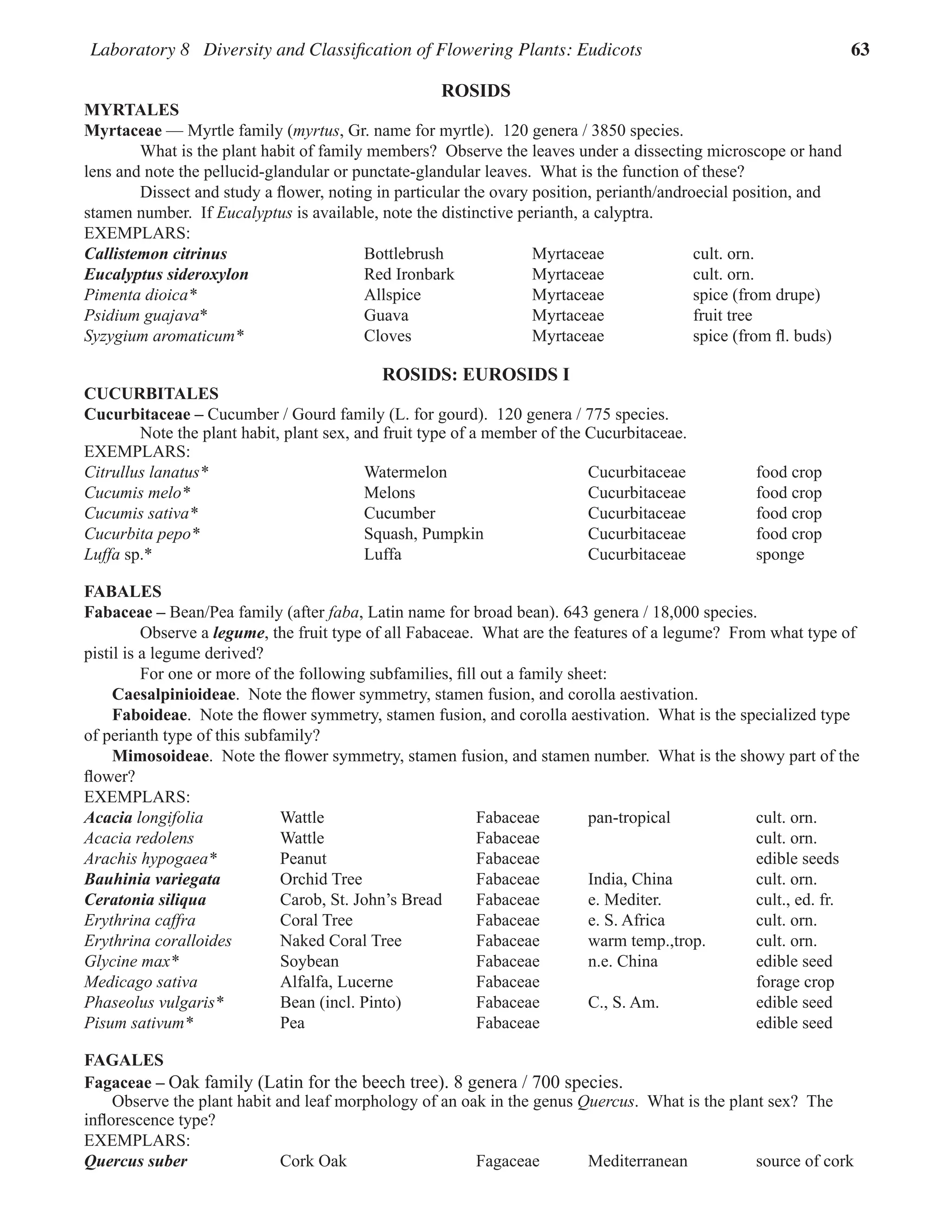 Laboratory 8 Diversity and Classification of Flowering Plants: Eudicots 63
ROSIDS
MYRTALES
Myrtaceae — Myrtle family (myrtus, Gr. name for myrtle).  120 genera / 3850 species.
What is the plant habit of family members?  Observe the leaves under a dissecting microscope or hand
lens and note the pellucid-glandular or punctate-glandular leaves.  What is the function of these?  
Dissect and study a flower, noting in particular the ovary position, perianth/androecial position, and
stamen number.  If Eucalyptus is available, note the distinctive perianth, a calyptra.  
EXEMPLARS:
Callistemon citrinus Bottlebrush Myrtaceae cult. orn.
Eucalyptus sideroxylon Red Ironbark Myrtaceae cult. orn.
Pimenta dioica* Allspice Myrtaceae spice (from drupe)
Psidium guajava* Guava Myrtaceae fruit tree
Syzygium aromaticum* Cloves Myrtaceae spice (from fl. buds)
ROSIDS: Eurosids I
CUCURBITALES
Cucurbitaceae – Cucumber / Gourd family (L. for gourd).  120 genera / 775 species.
Note the plant habit, plant sex, and fruit type of a member of the Cucurbitaceae.  
EXEMPLARS:
Citrullus lanatus* Watermelon Cucurbitaceae food crop
Cucumis melo* Melons Cucurbitaceae food crop
Cucumis sativa* Cucumber Cucurbitaceae food crop
Cucurbita pepo* Squash, Pumpkin Cucurbitaceae food crop
Luffa sp.* Luffa Cucurbitaceae sponge
FABALES
Fabaceae – Bean/Pea family (after faba, Latin name for broad bean). 643 genera / 18,000 species.
Observe a legume, the fruit type of all Fabaceae.  What are the features of a legume?  From what type of
pistil is a legume derived?  
For one or more of the following subfamilies, fill out a family sheet:  
Caesalpinioideae.  Note the flower symmetry, stamen fusion, and corolla aestivation.
Faboideae.  Note the flower symmetry, stamen fusion, and corolla aestivation.  What is the specialized type
of perianth type of this subfamily?  
Mimosoideae.  Note the flower symmetry, stamen fusion, and stamen number.  What is the showy part of the
flower?  
EXEMPLARS:
Acacia longifolia Wattle Fabaceae pan-tropical cult. orn.
Acacia redolens Wattle Fabaceae cult. orn.
Arachis hypogaea* Peanut Fabaceae edible seeds
Bauhinia variegata Orchid Tree Fabaceae India, China cult. orn.
Ceratonia siliqua Carob, St. John’s Bread Fabaceae e. Mediter. cult., ed. fr.
Erythrina caffra Coral Tree Fabaceae e. S. Africa cult. orn.
Erythrina coralloides Naked Coral Tree Fabaceae warm temp.,trop. cult. orn.
Glycine max* Soybean Fabaceae n.e. China edible seed
Medicago sativa Alfalfa, Lucerne Fabaceae forage crop
Phaseolus vulgaris* Bean (incl. Pinto) Fabaceae C., S. Am. edible seed
Pisum sativum* Pea Fabaceae edible seed
FAGALES
Fagaceae – Oak family (Latin for the beech tree). 8 genera / 700 species.
Observe the plant habit and leaf morphology of an oak in the genus Quercus.  What is the plant sex?  The
inflorescence type?  
EXEMPLARS:
Quercus suber Cork Oak Fagaceae Mediterranean source of cork
 
