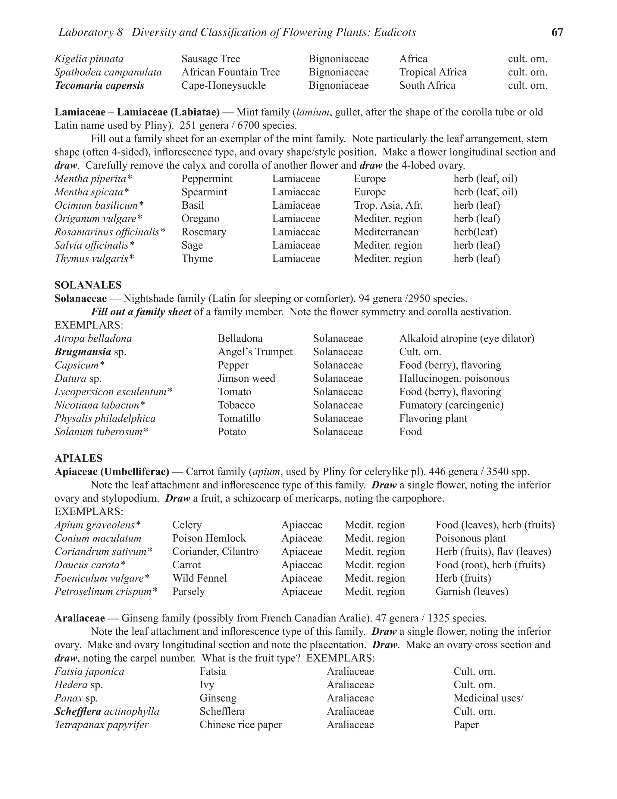 Laboratory 8 Diversity and Classification of Flowering Plants: Eudicots 67
Kigelia pinnata Sausage Tree Bignoniaceae Africa cult. orn.
Spathodea campanulata African Fountain Tree Bignoniaceae Tropical Africa cult. orn.
Tecomaria capensis Cape-Honeysuckle Bignoniaceae South Africa cult. orn.
Lamiaceae – Lamiaceae (Labiatae) — Mint family (lamium, gullet, after the shape of the corolla tube or old
Latin name used by Pliny).  251 genera / 6700 species.
Fill out a family sheet for an exemplar of the mint family.  Note particularly the leaf arrangement, stem
shape (often 4-sided), inflorescence type, and ovary shape/style position.  Make a flower longitudinal section and
draw.  Carefully remove the calyx and corolla of another flower and draw the 4-lobed ovary.  
Mentha piperita* Peppermint Lamiaceae Europe herb (leaf, oil)
Mentha spicata* Spearmint Lamiaceae Europe herb (leaf, oil)
Ocimum basilicum* Basil Lamiaceae Trop. Asia, Afr. herb (leaf)
Origanum vulgare* Oregano Lamiaceae Mediter. region herb (leaf)
Rosamarinus officinalis* Rosemary Lamiaceae Mediterranean herb(leaf)
Salvia officinalis* Sage Lamiaceae Mediter. region herb (leaf)
Thymus vulgaris* Thyme Lamiaceae Mediter. region herb (leaf)
SOLANALES
Solanaceae — Nightshade family (Latin for sleeping or comforter). 94 genera /2950 species.
Fill out a family sheet of a family member.  Note the flower symmetry and corolla aestivation.  
EXEMPLARS:
Atropa belladona Belladona Solanaceae Alkaloid atropine (eye dilator)
Brugmansia sp. Angel’s Trumpet Solanaceae Cult. orn.
Capsicum* Pepper Solanaceae Food (berry), flavoring
Datura sp. Jimson weed Solanaceae Hallucinogen, poisonous
Lycopersicon esculentum* Tomato Solanaceae Food (berry), flavoring
Nicotiana tabacum* Tobacco Solanaceae Fumatory (carcingenic)
Physalis philadelphica Tomatillo Solanaceae Flavoring plant
Solanum tuberosum* Potato Solanaceae Food
APIALES
Apiaceae (Umbelliferae) — Carrot family (apium, used by Pliny for celerylike pl). 446 genera / 3540 spp.
Note the leaf attachment and inflorescence type of this family.  Draw a single flower, noting the inferior
ovary and stylopodium.  Draw a fruit, a schizocarp of mericarps, noting the carpophore.  
EXEMPLARS:
Apium graveolens* Celery Apiaceae Medit. region Food (leaves), herb (fruits)
Conium maculatum Poison Hemlock Apiaceae Medit. region Poisonous plant
Coriandrum sativum* Coriander, Cilantro Apiaceae Medit. region Herb (fruits), flav (leaves)
Daucus carota* Carrot Apiaceae Medit. region Food (root), herb (fruits)
Foeniculum vulgare* Wild Fennel Apiaceae Medit. region Herb (fruits)
Petroselinum crispum* Parsely Apiaceae Medit. region Garnish (leaves)
Araliaceae — Ginseng family (possibly from French Canadian Aralie). 47 genera / 1325 species.
Note the leaf attachment and inflorescence type of this family.  Draw a single flower, noting the inferior
ovary.  Make and ovary longitudinal section and note the placentation.  Draw.  Make an ovary cross section and
draw, noting the carpel number.  What is the fruit type?  EXEMPLARS:
Fatsia japonica Fatsia Araliaceae Cult. orn.
Hedera sp. Ivy Araliaceae Cult. orn.
Panax sp. Ginseng Araliaceae Medicinal uses/
Schefflera actinophylla Schefflera Araliaceae Cult. orn.
Tetrapanax papyrifer Chinese rice paper Araliaceae Paper
 